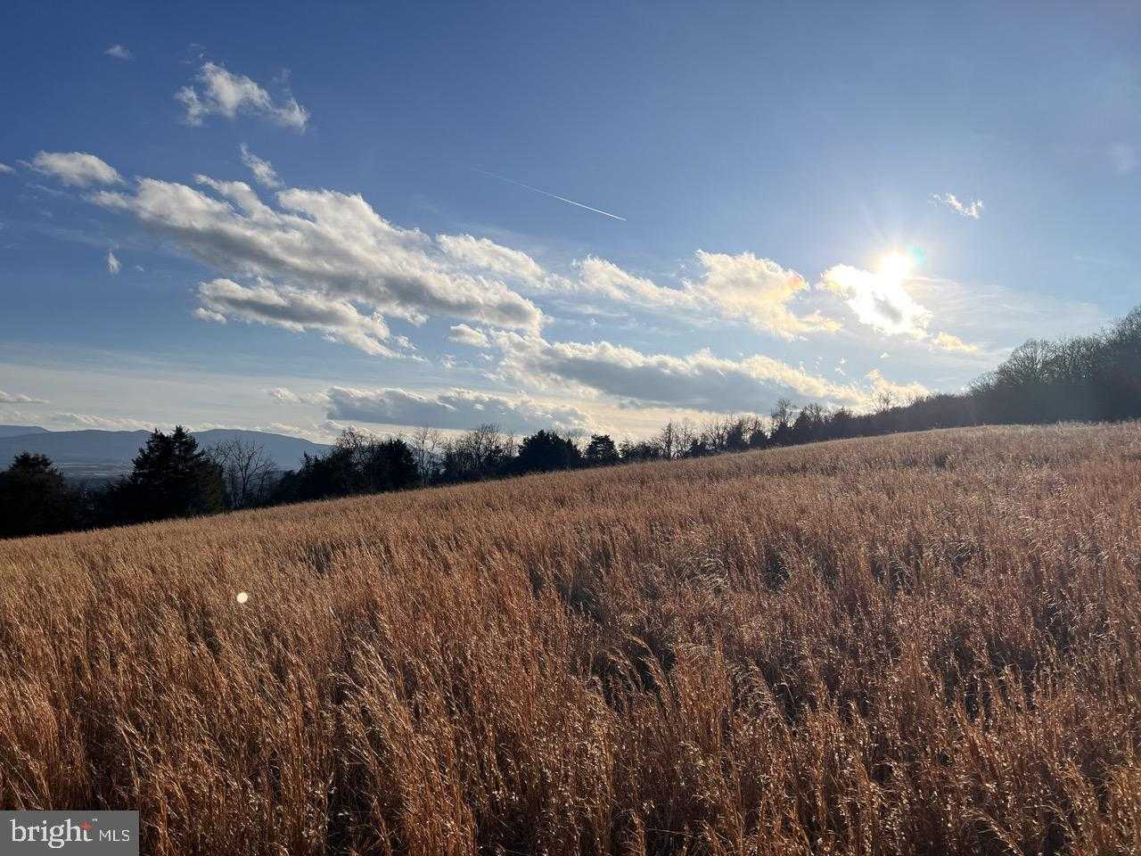 202 Sions St photo 5