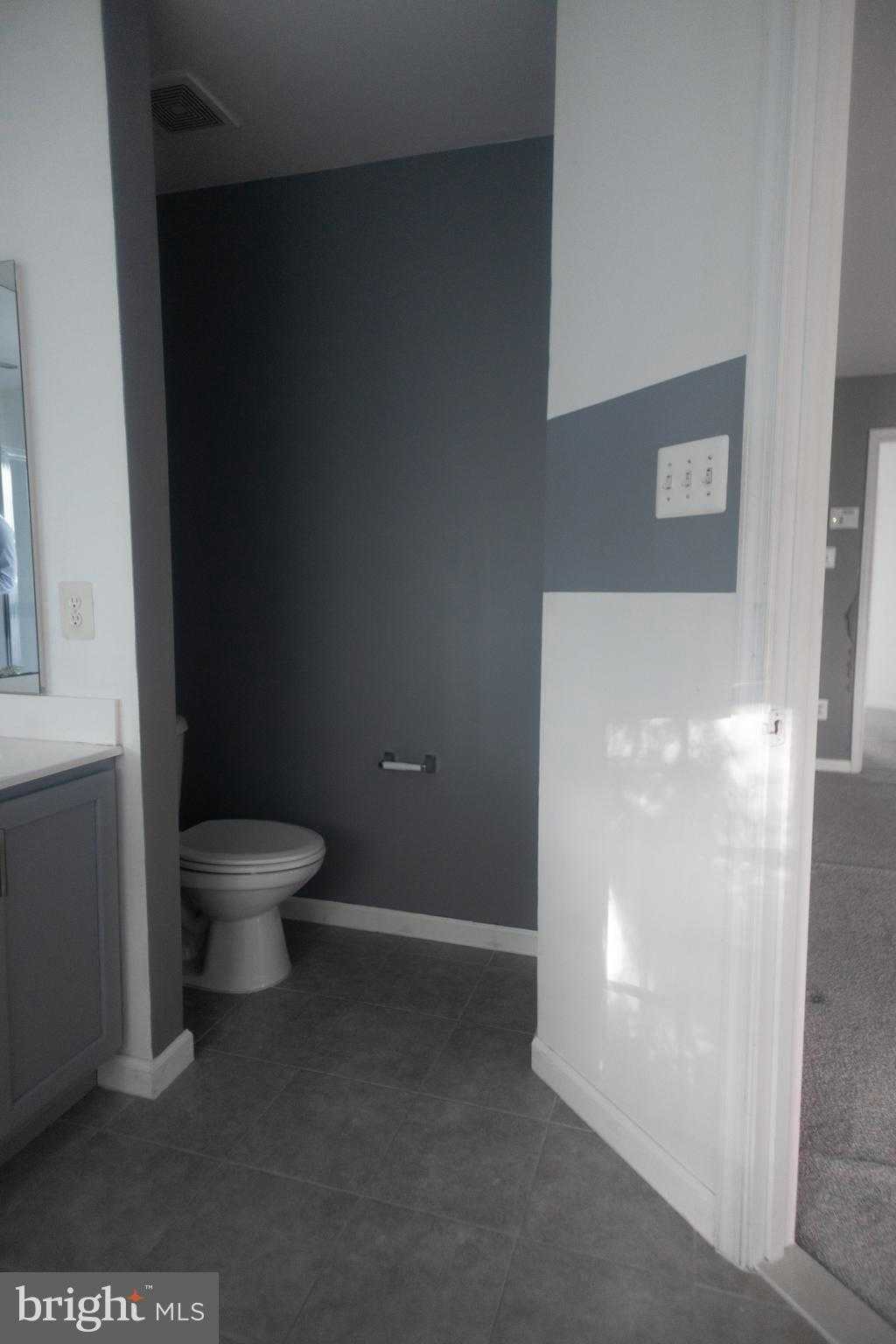 4404 Windflower Way photo 42