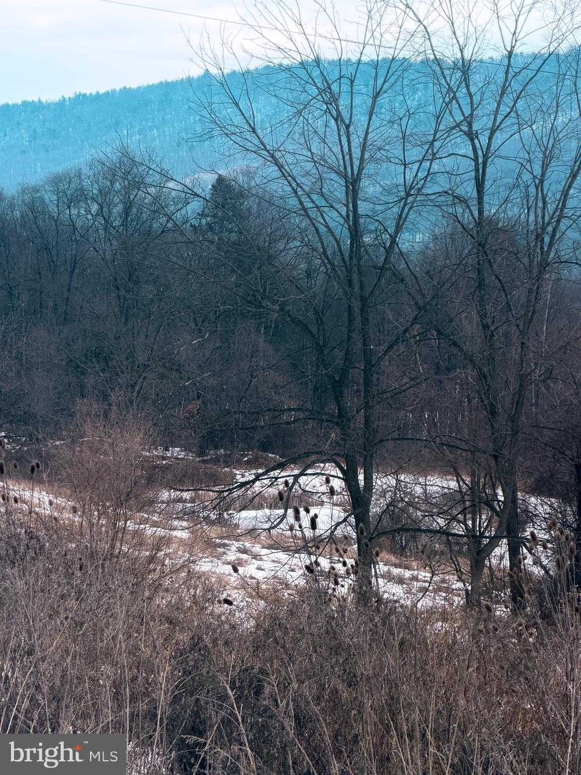 875 R and D Ln photo 21