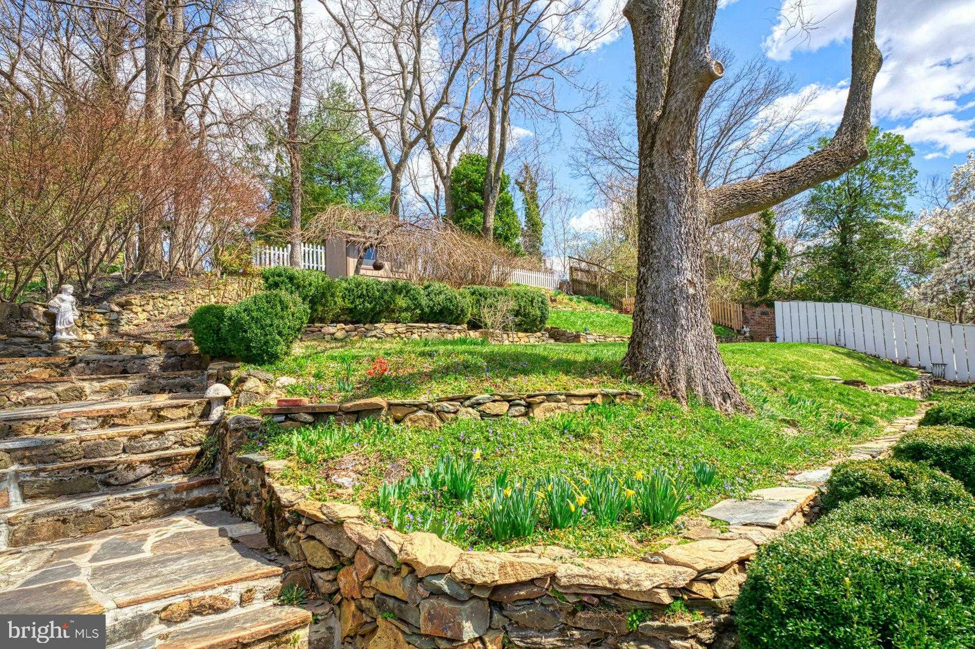 40162 Main St photo 54