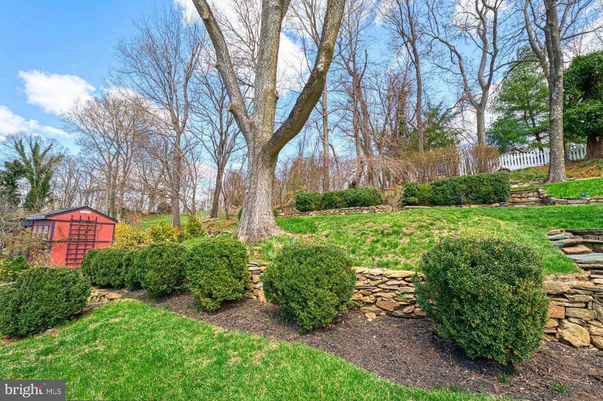 40162 Main St photo 55