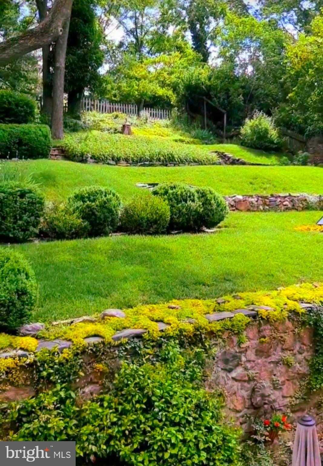 40162 Main St photo 60