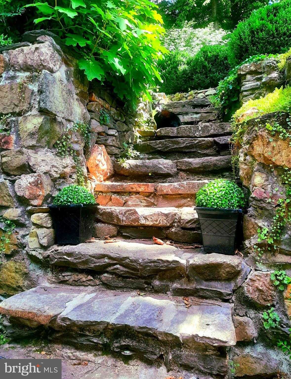 40162 Main St photo 61