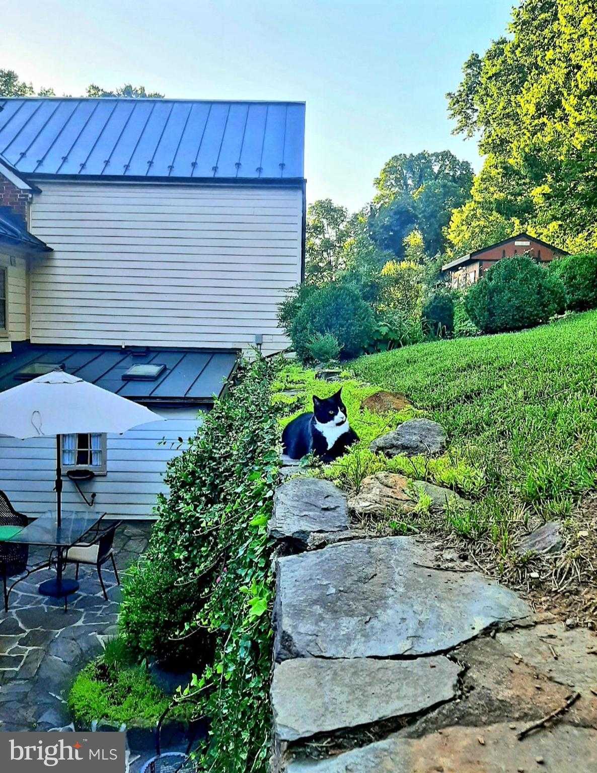 40162 Main St photo 62