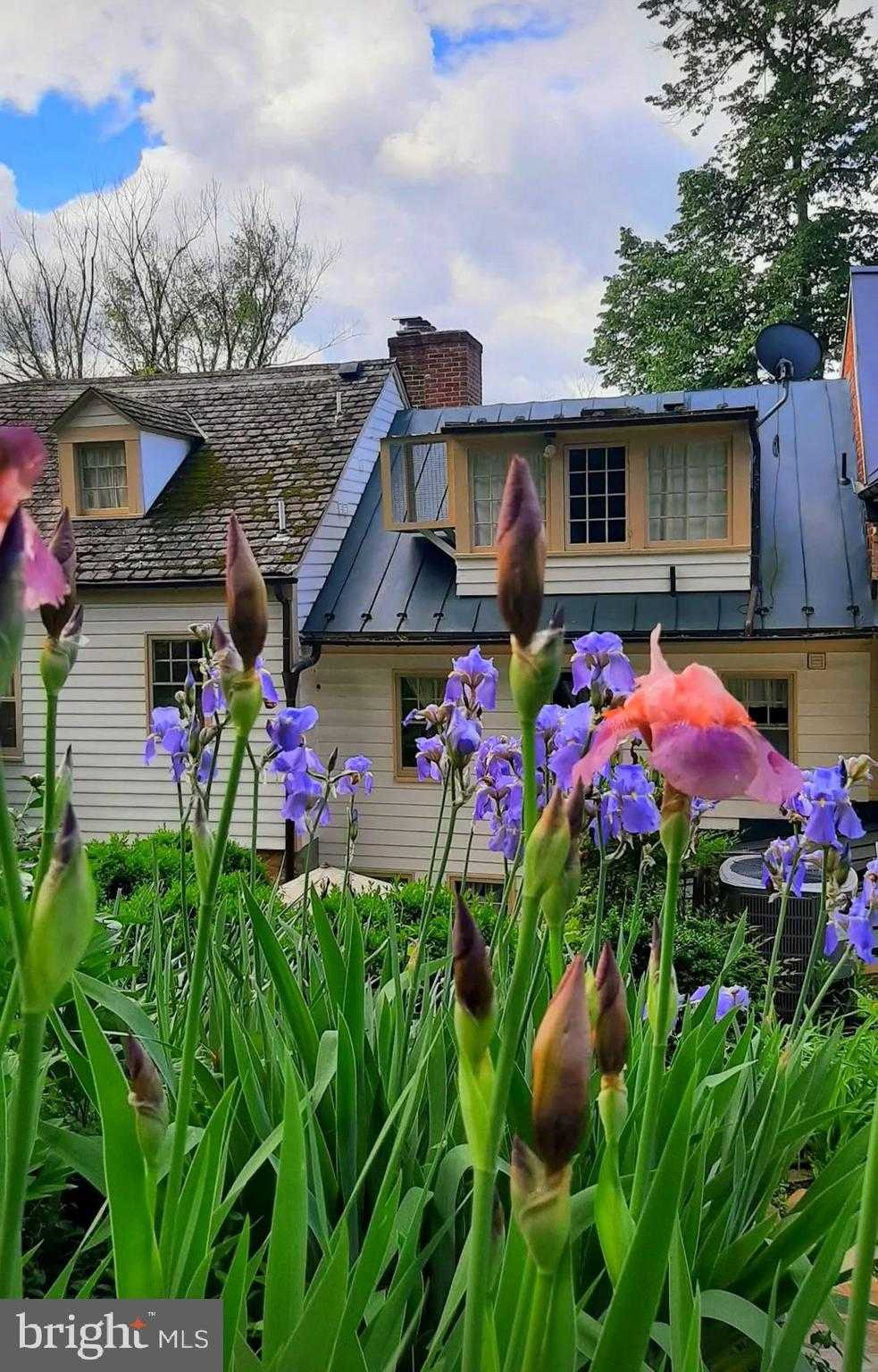 40162 Main St photo 68