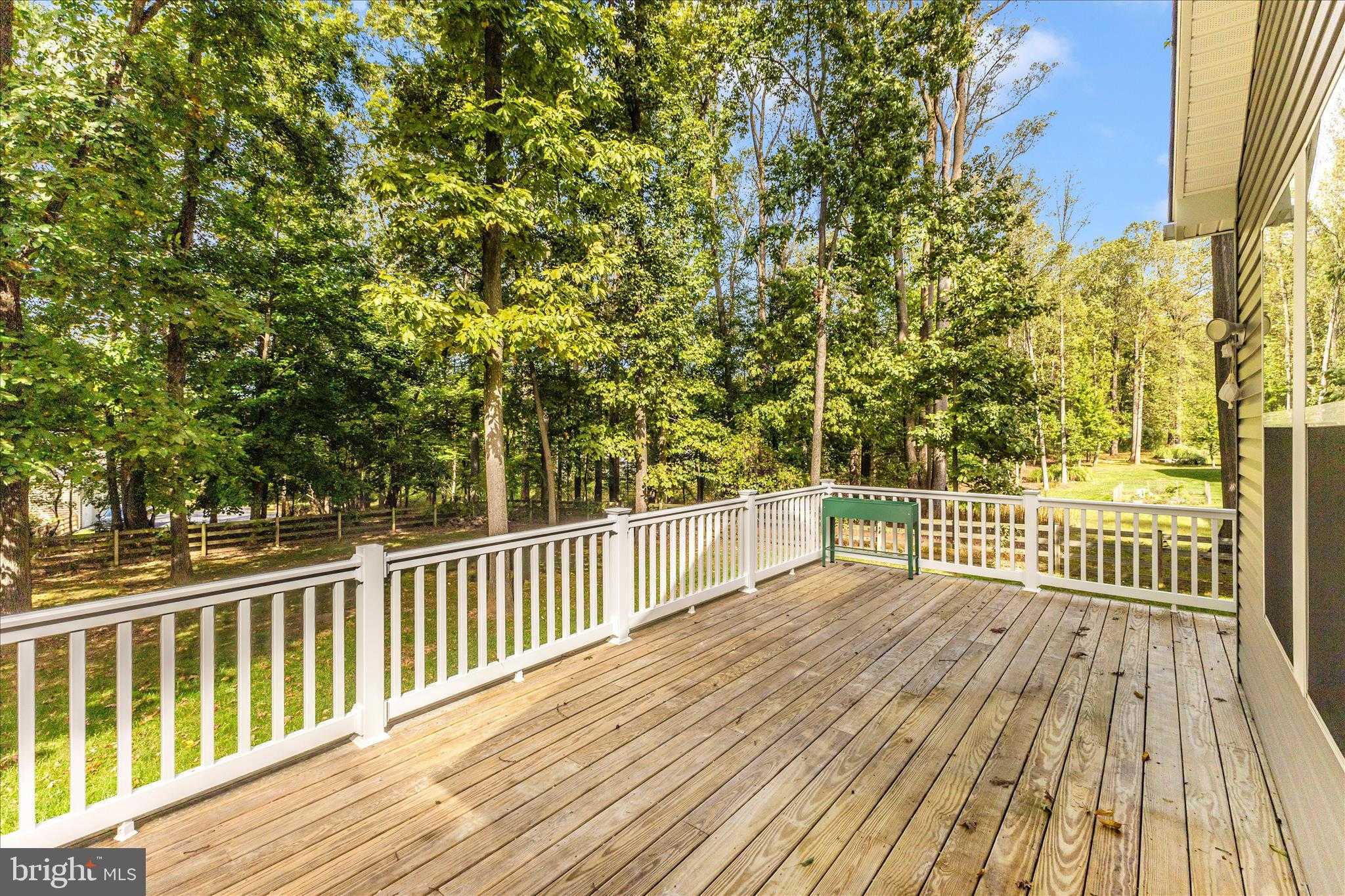 12328 Timber Grove Rd photo 48