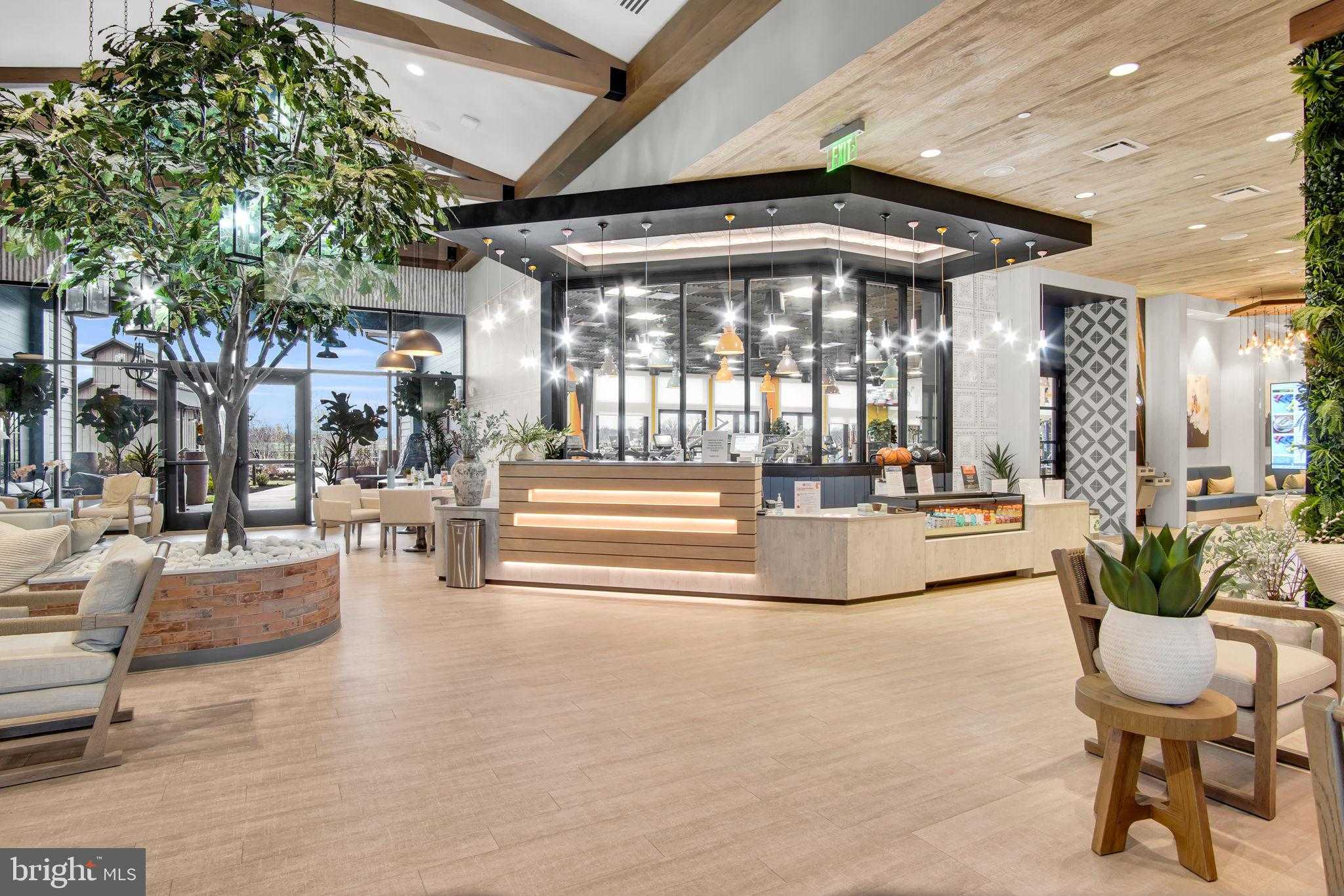 80 Boneset Dr photo 64