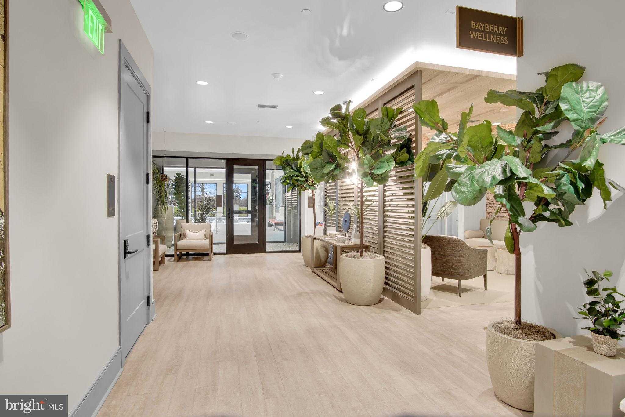 80 Boneset Dr photo 77