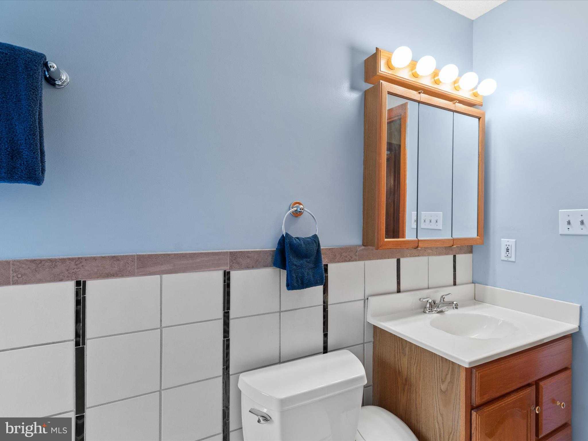 13374 Cove Landing Rd photo 47