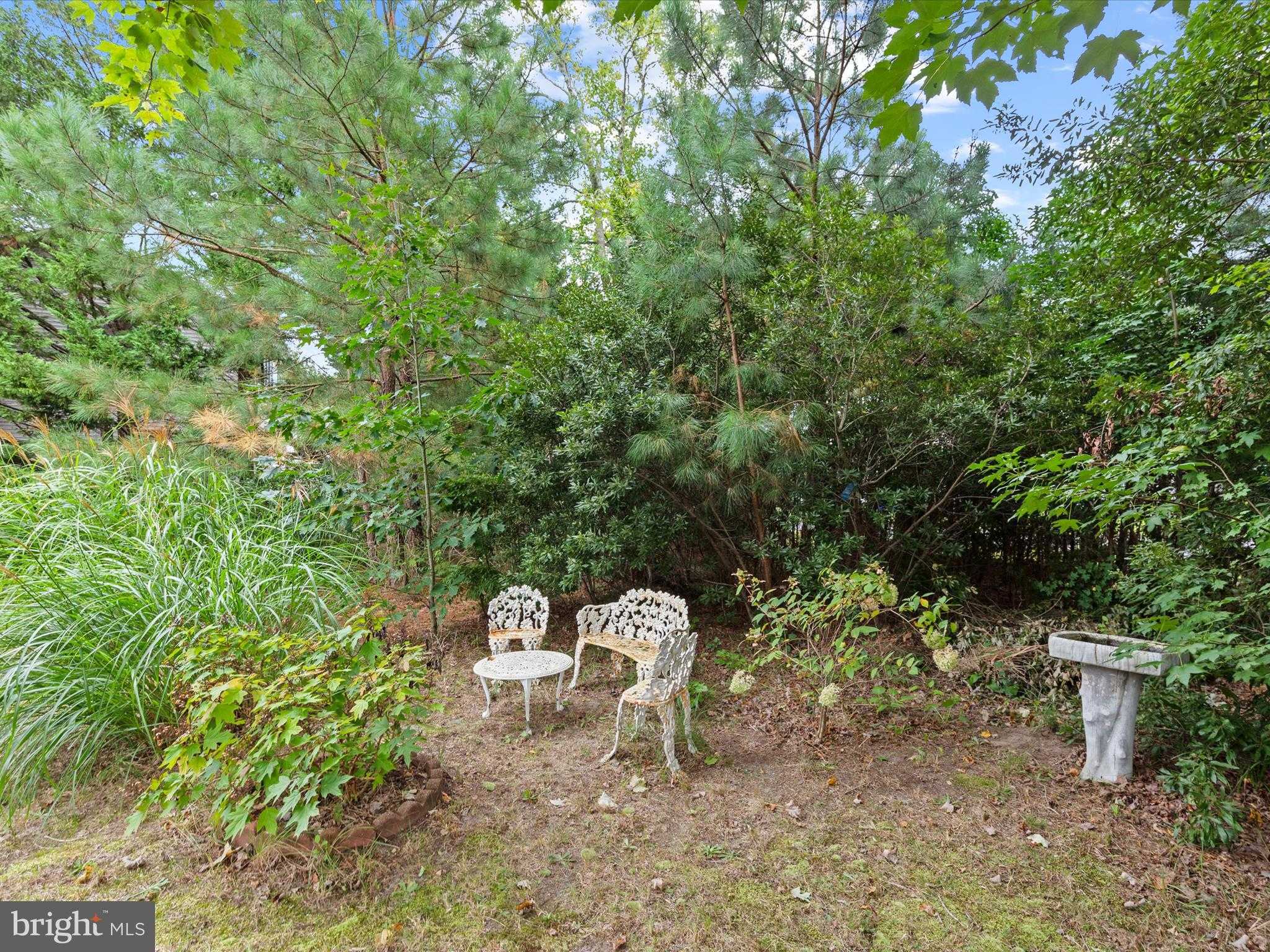 13374 Cove Landing Rd photo 83