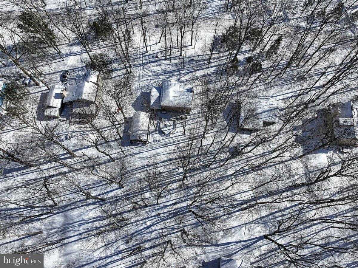 157 Selig Rd photo 65