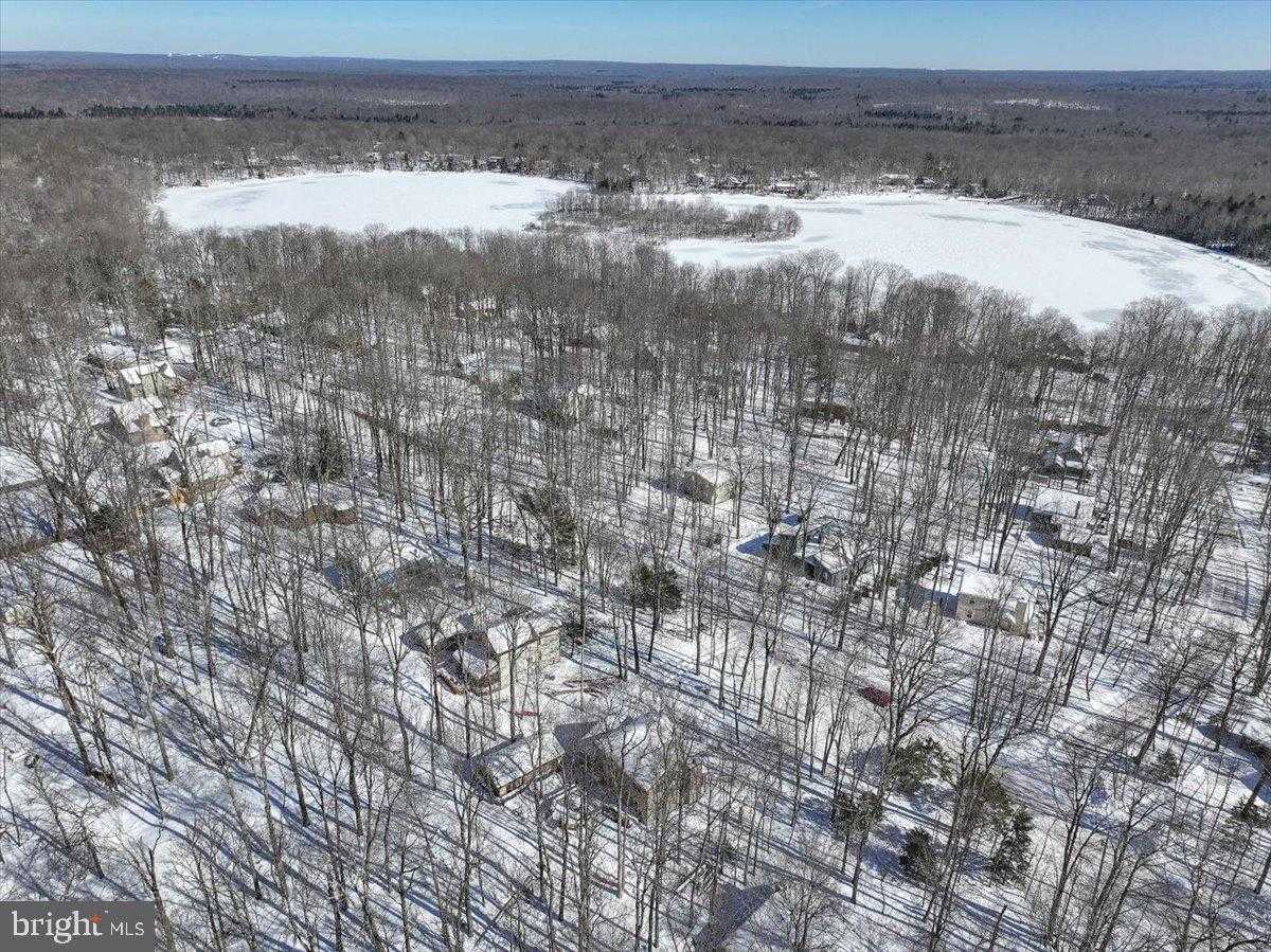 157 Selig Rd photo 67