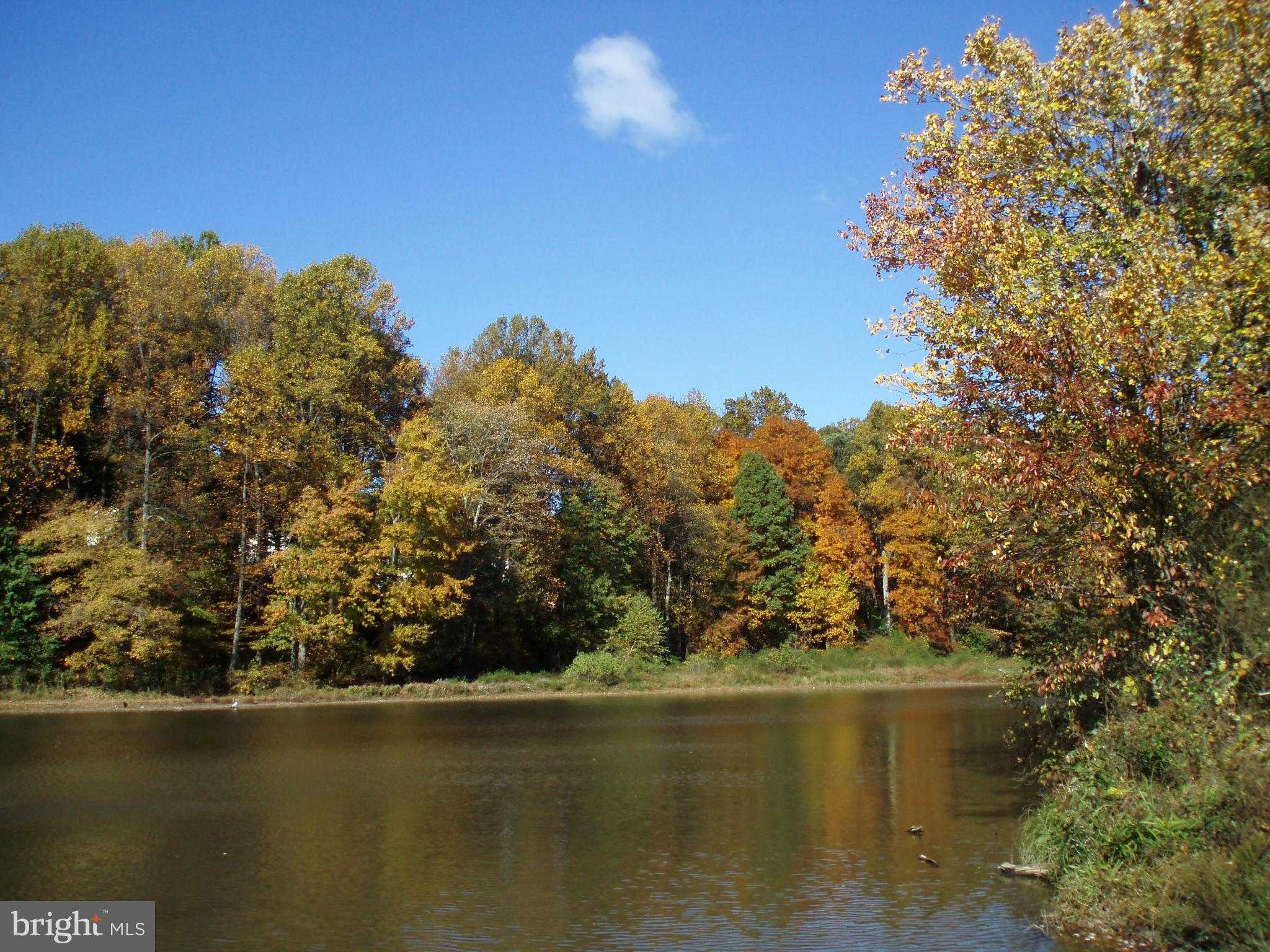 5342 Guinea Rd photo 52