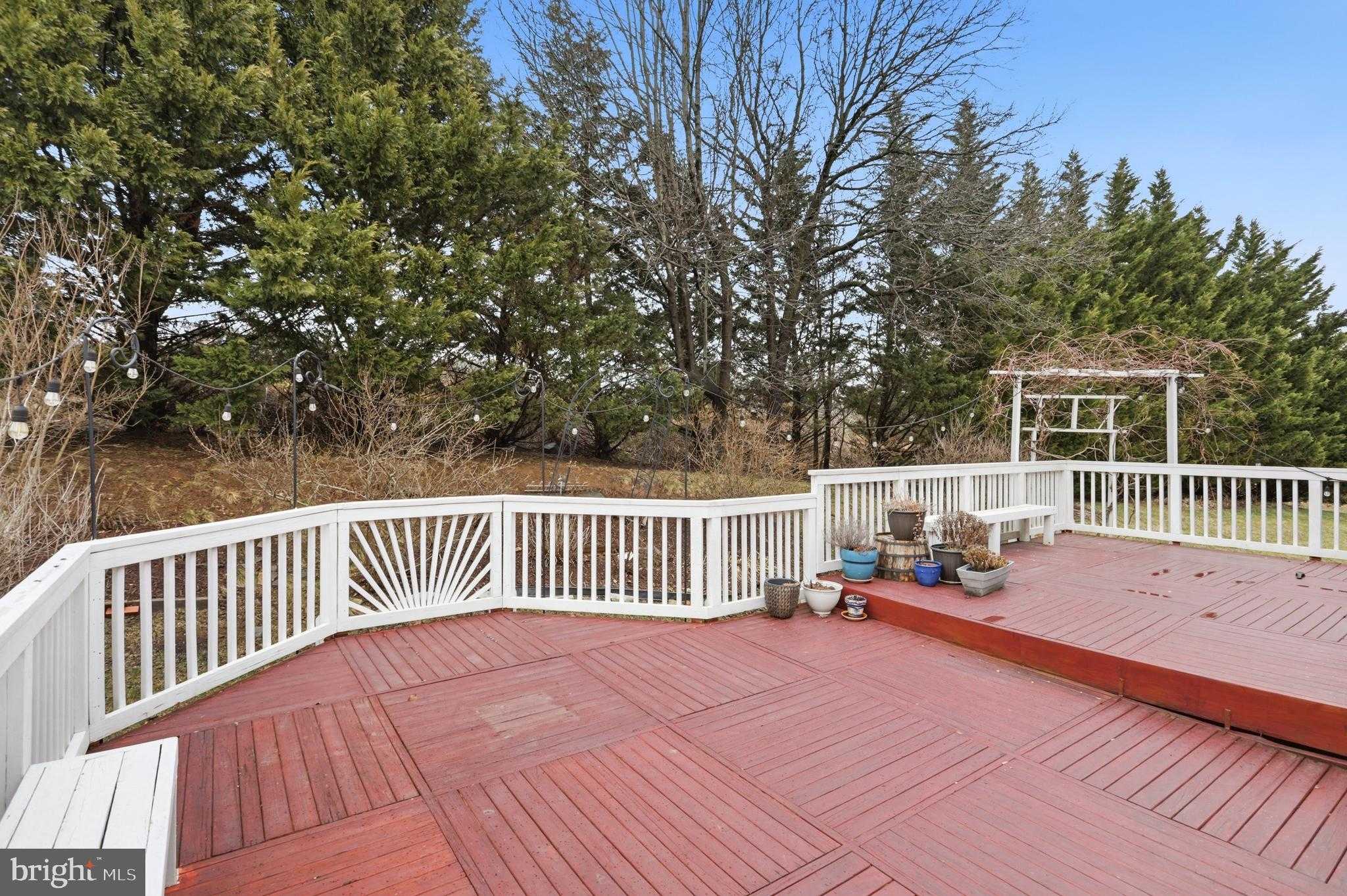 3221 Spring Rain CT photo 29