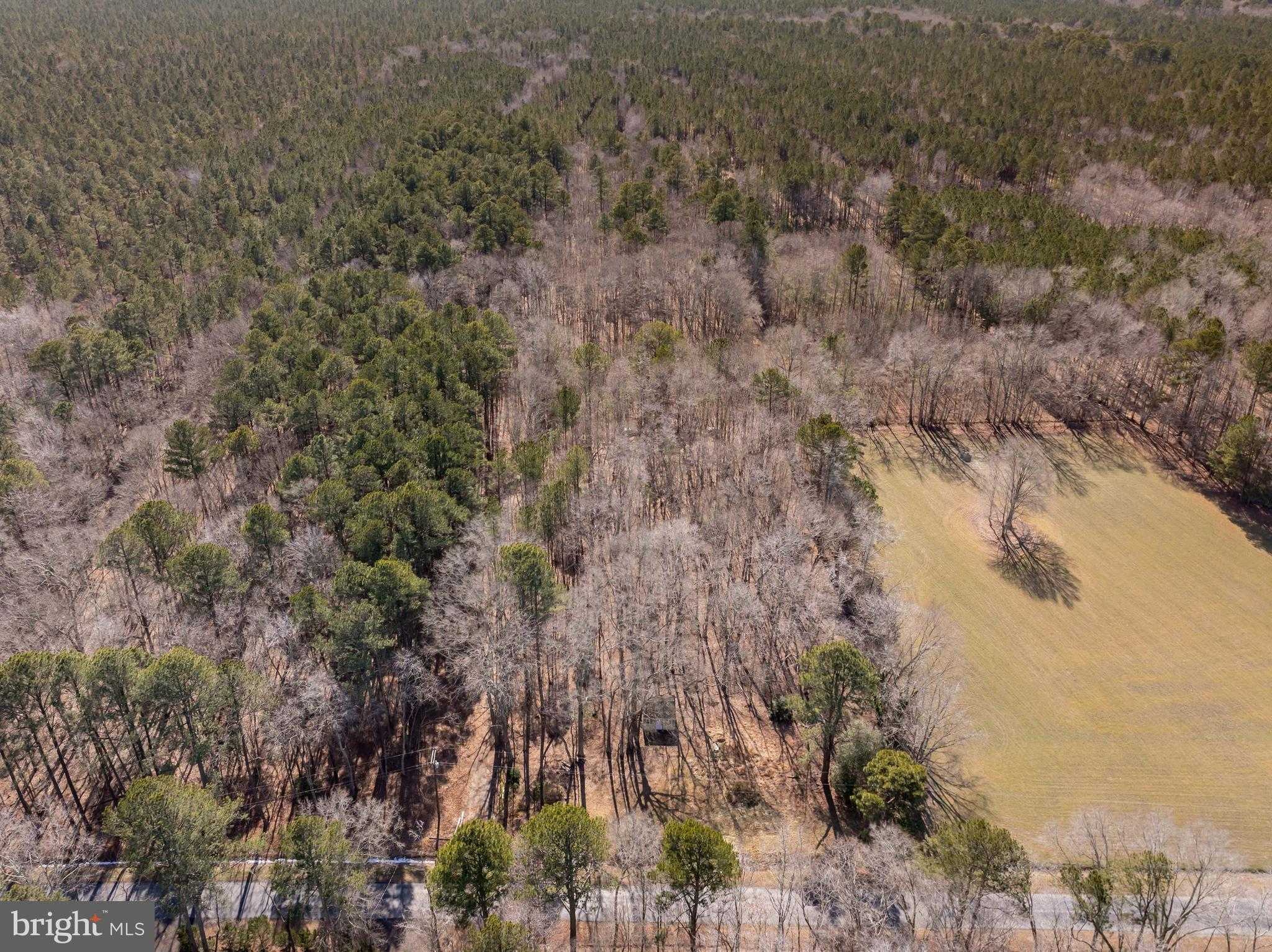 Somerset Ave photo 12