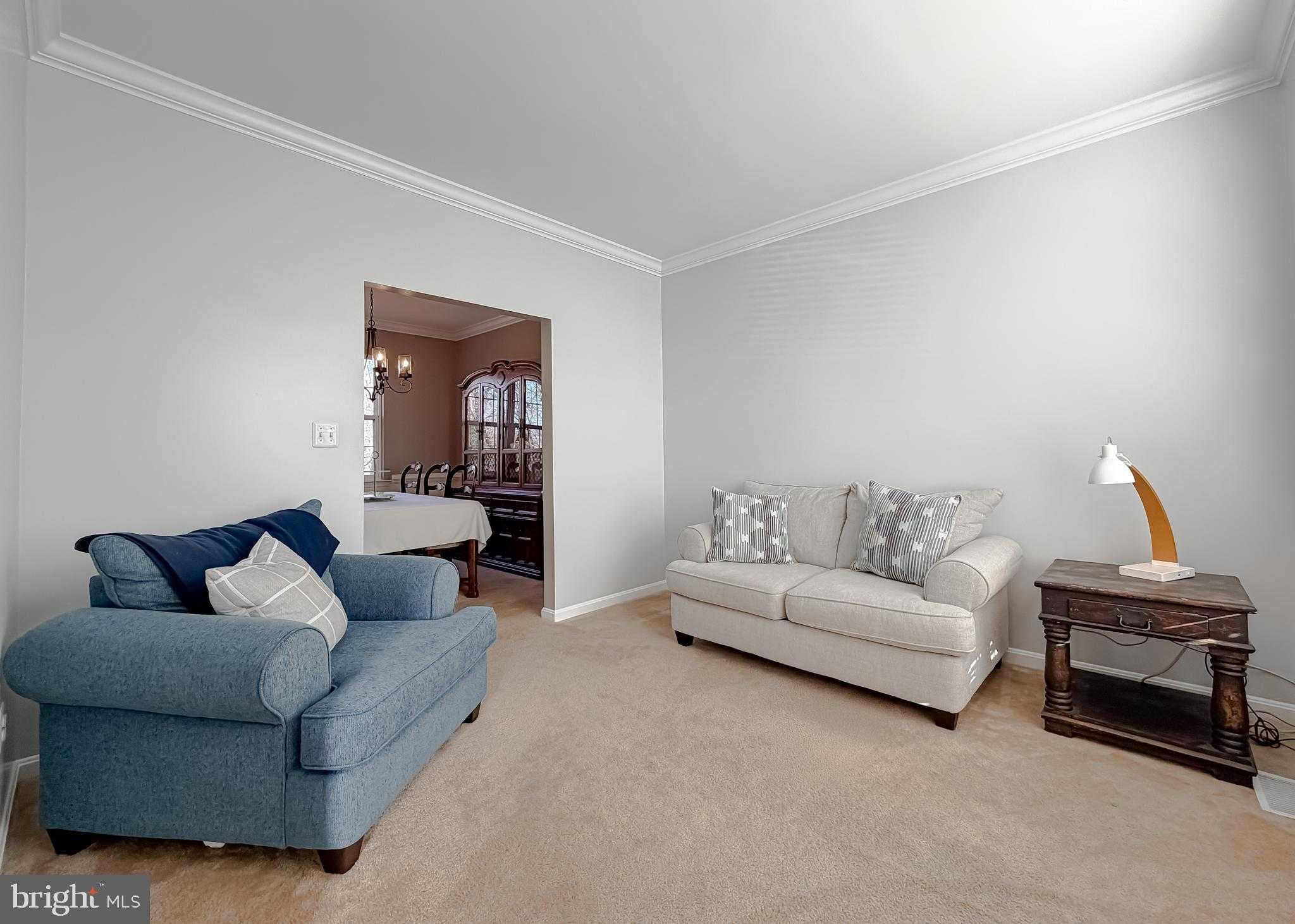 20987 Freedom Run Dr photo 25