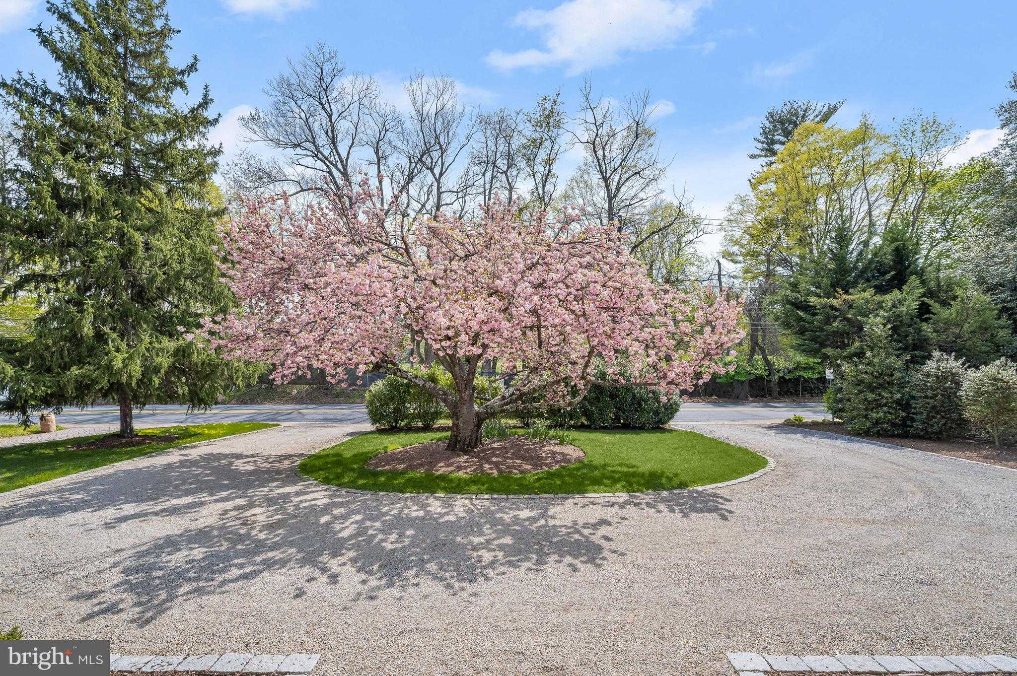 4209 Bradley Ln photo 3