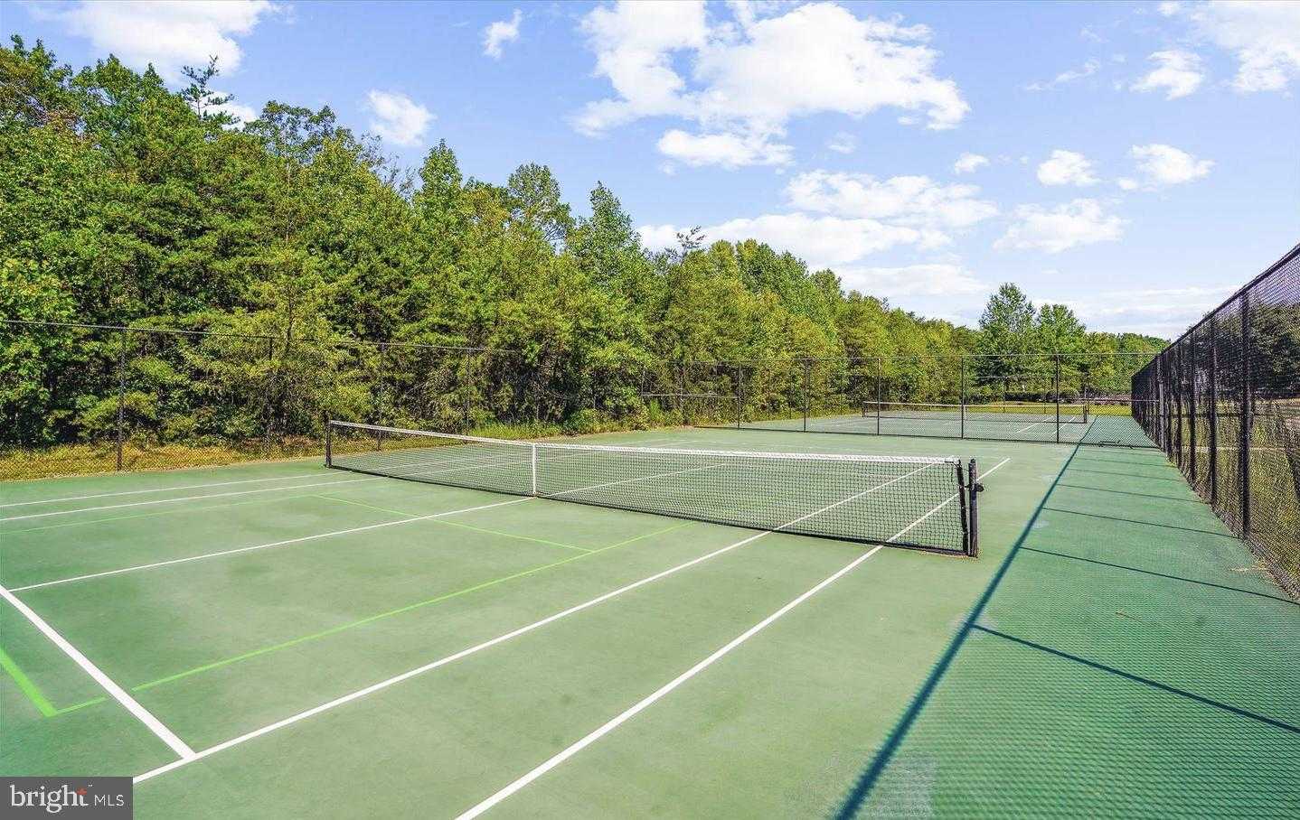 16 Dabney CT photo 25