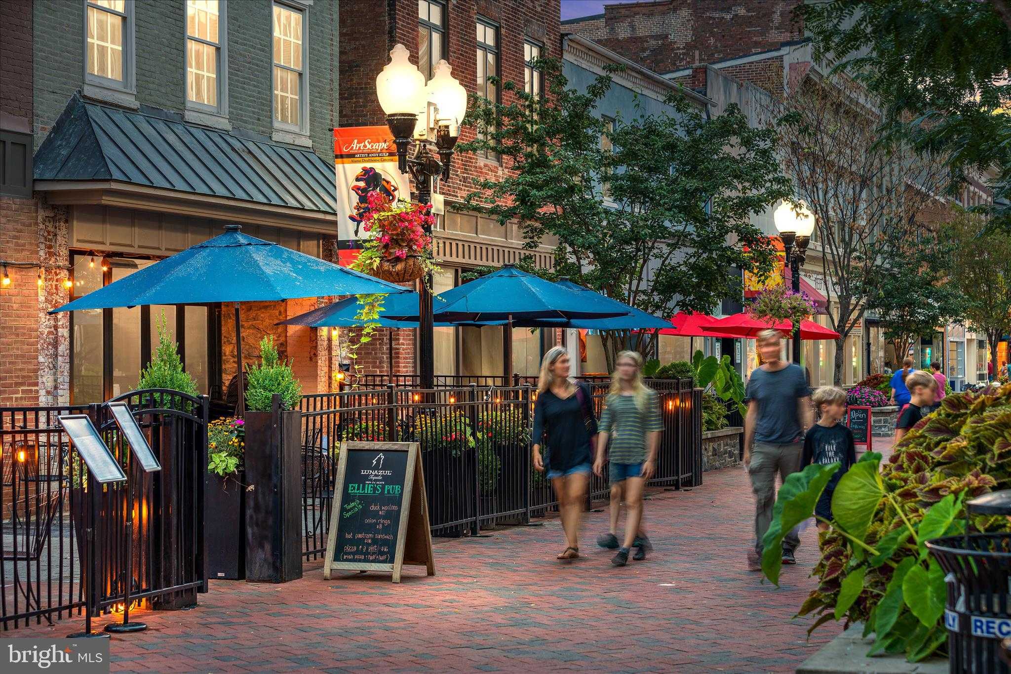 174 Williamson Rd photo 62