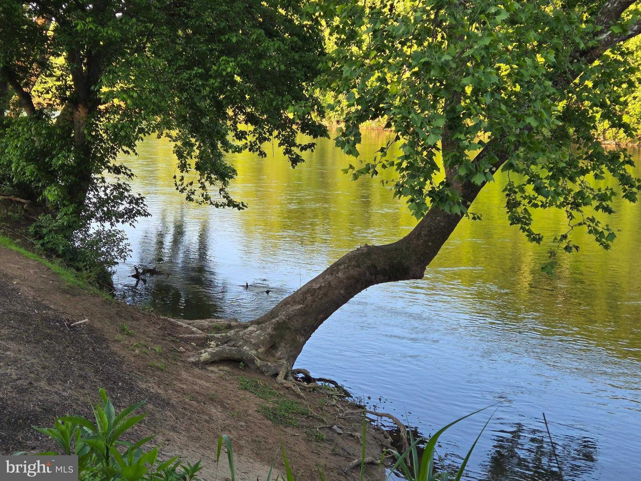 804 Farms River Rd photo 48