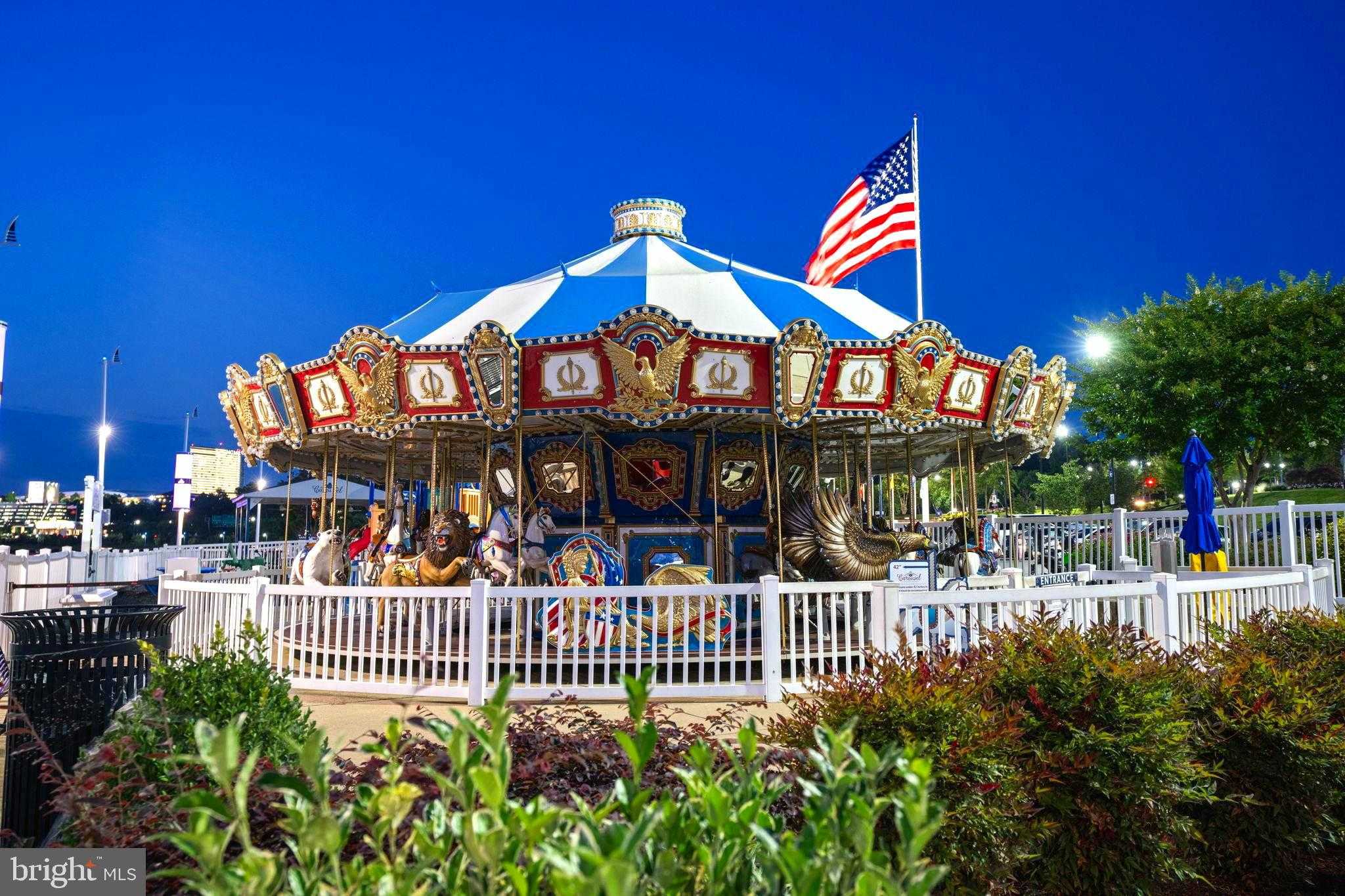 102 Saint Ives Pl Apt 307 photo 45