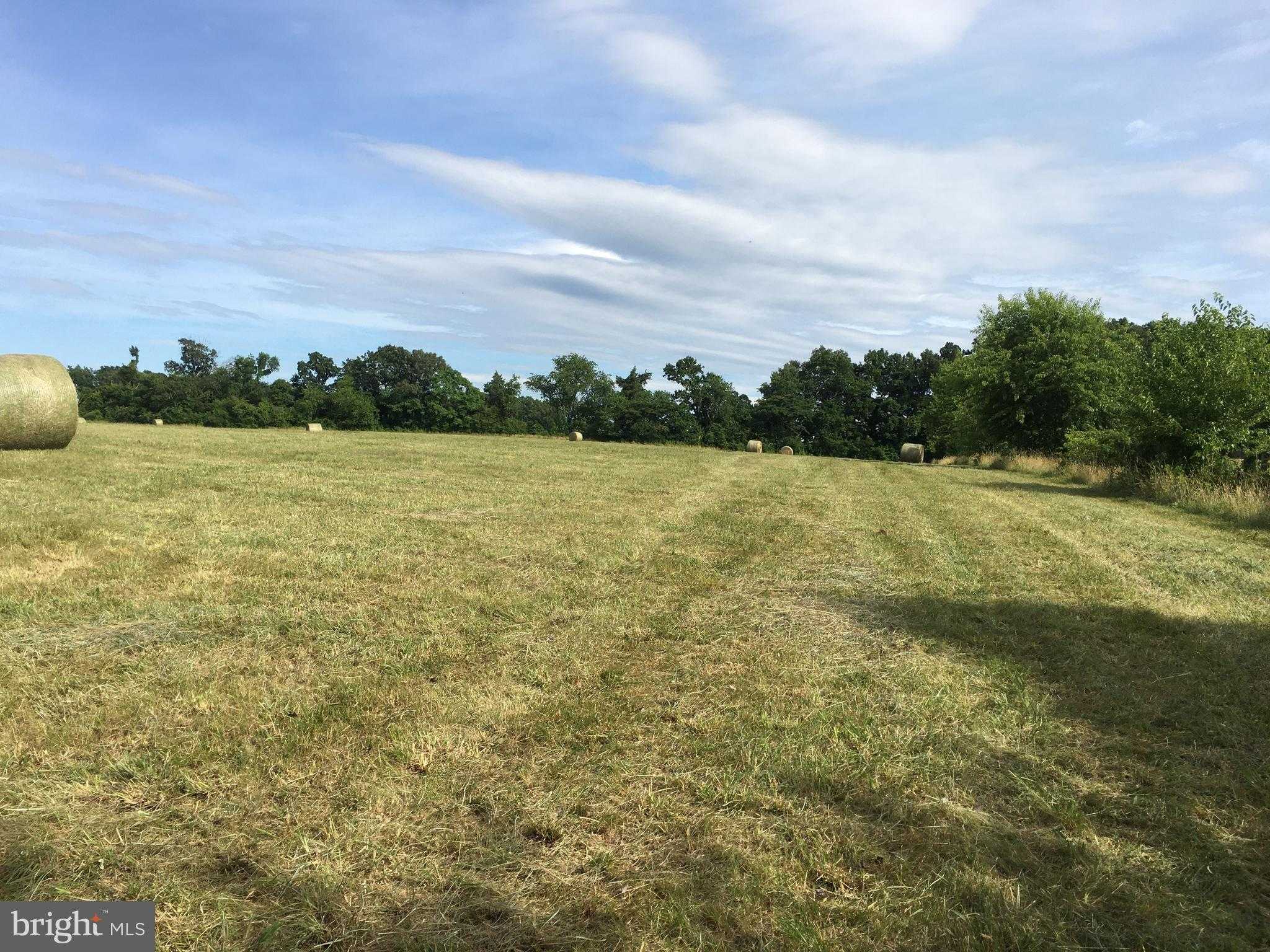 11175 Marquis Rd photo 10