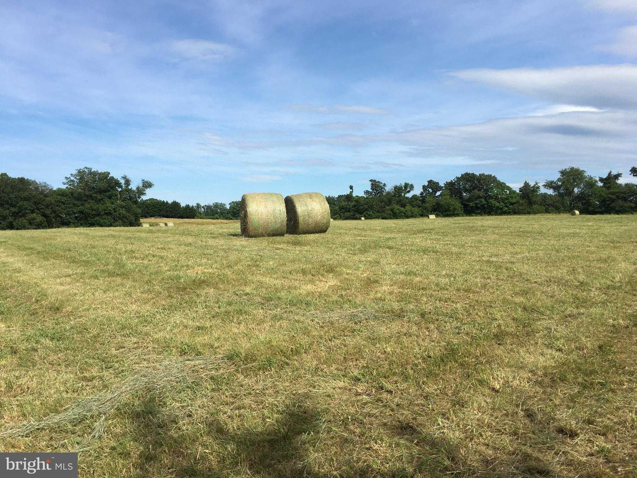 11175 Marquis Rd photo 11