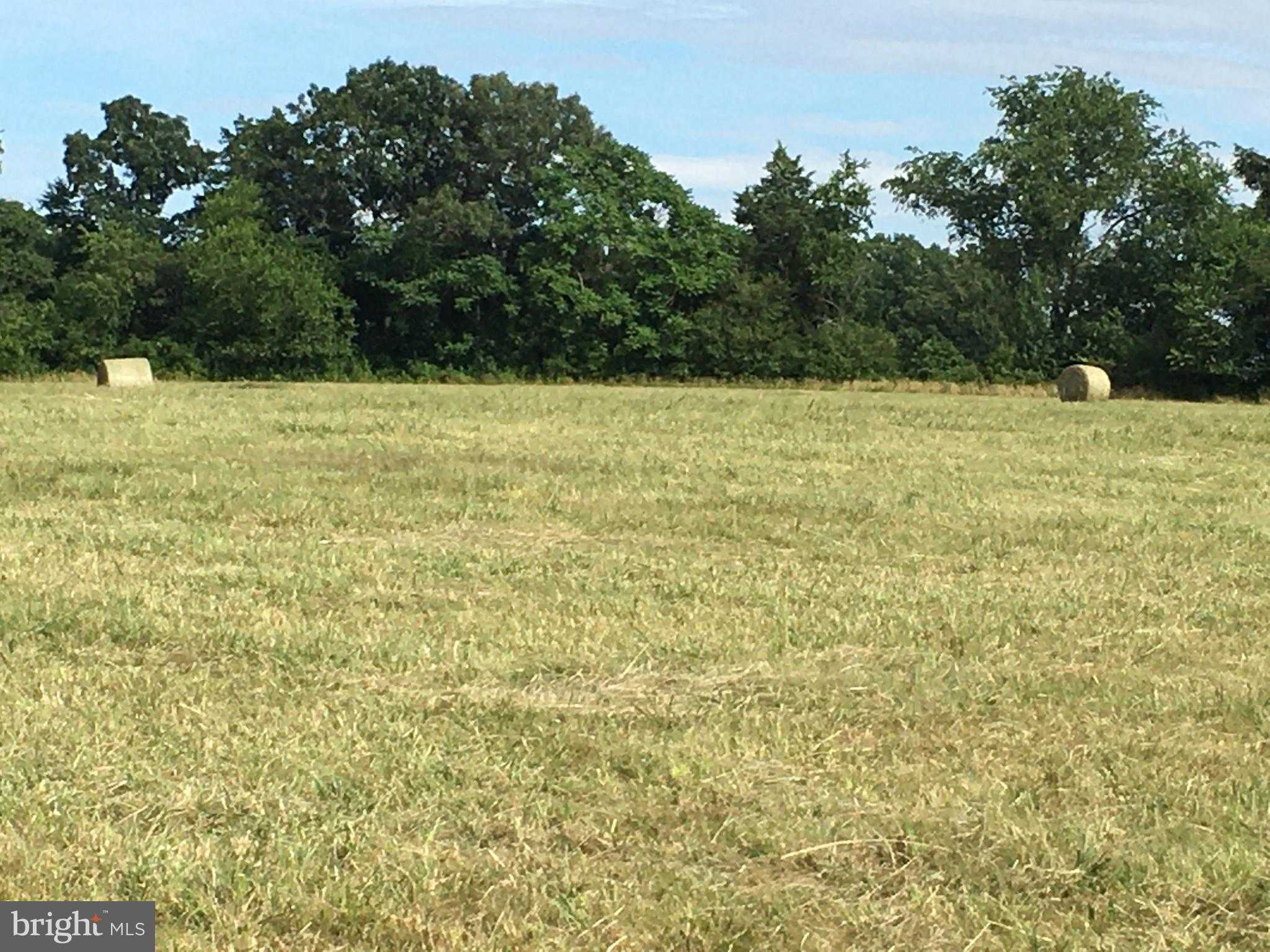 11175 Marquis Rd photo 6