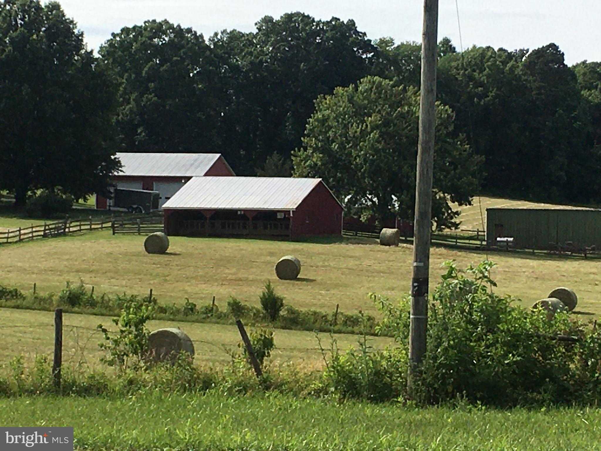 11175 Marquis Rd photo 7