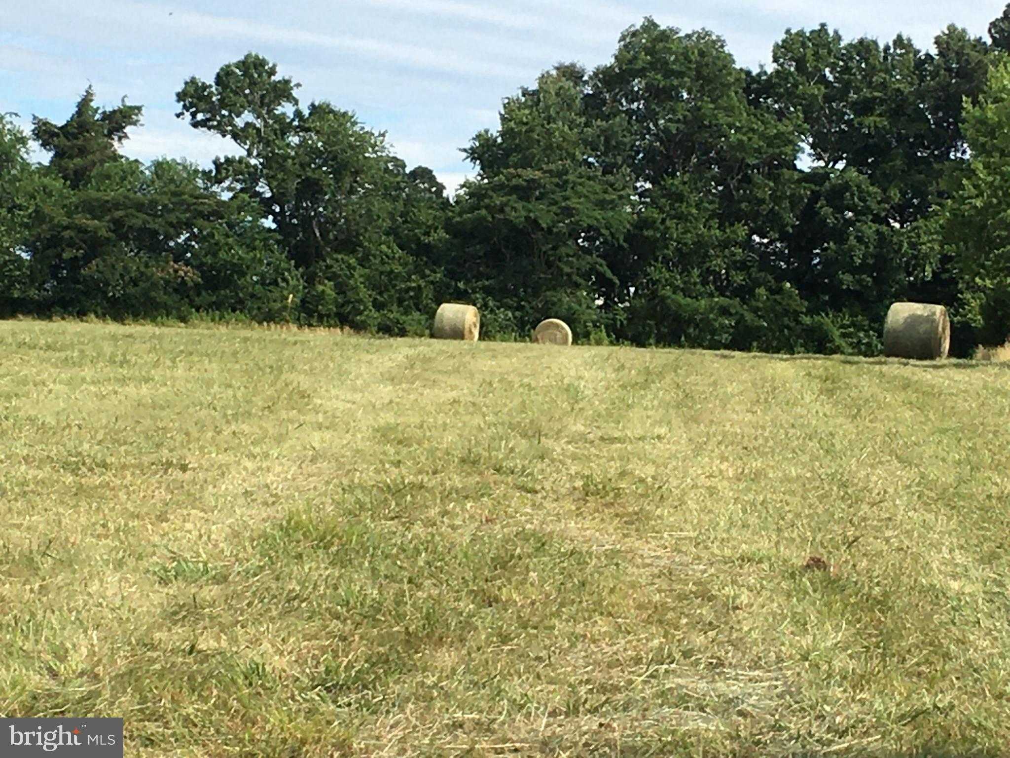 11175 Marquis Rd photo 9