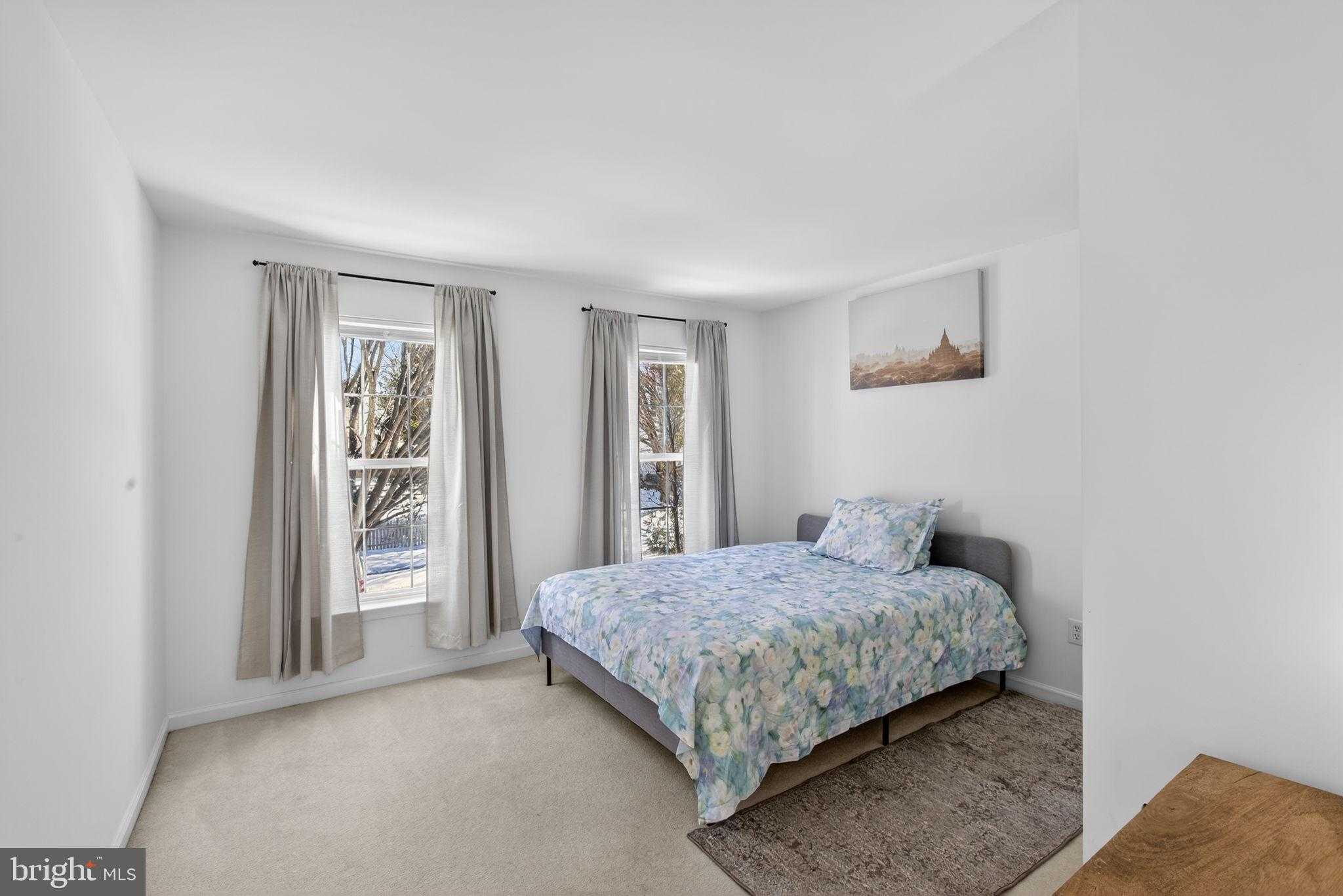 21310 Purple Aster CT photo 18