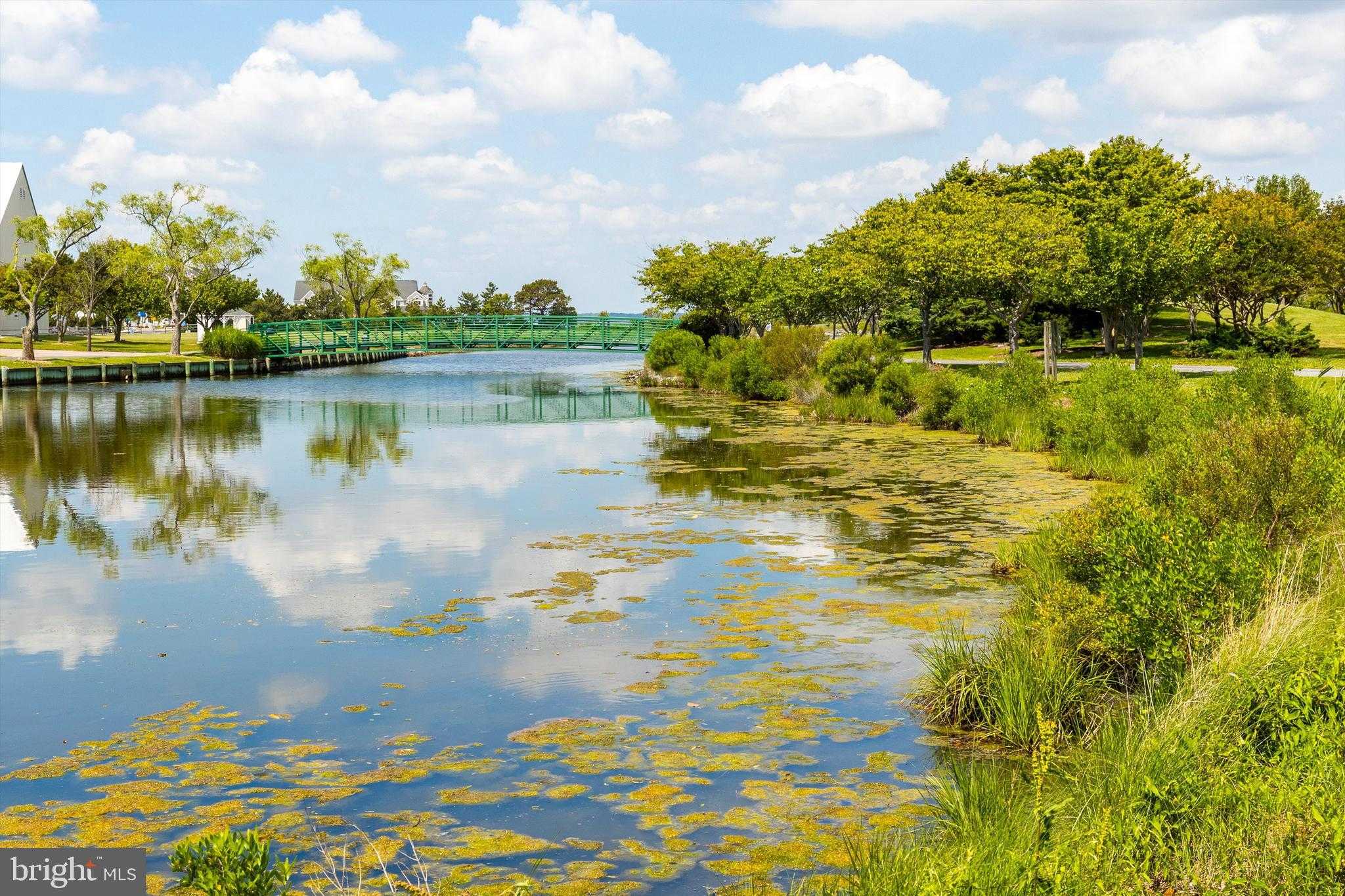 12302 Jamaica Ave Unit 104 photo 21