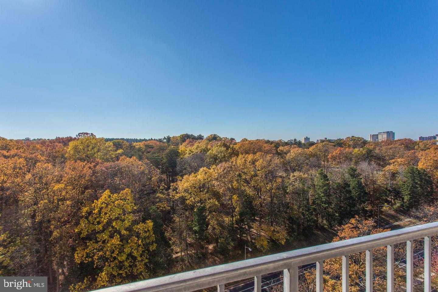 2500 N Van Dorn St Apt 1226 photo 13