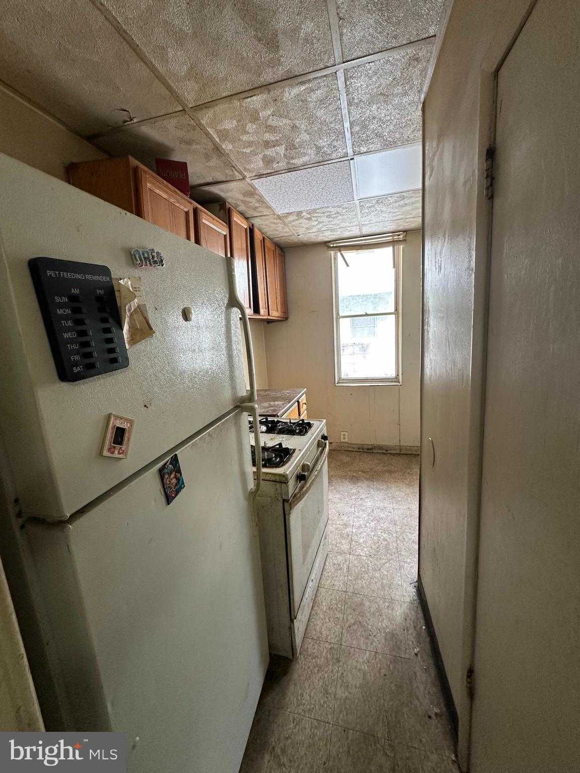 321 Cantrell St photo 7