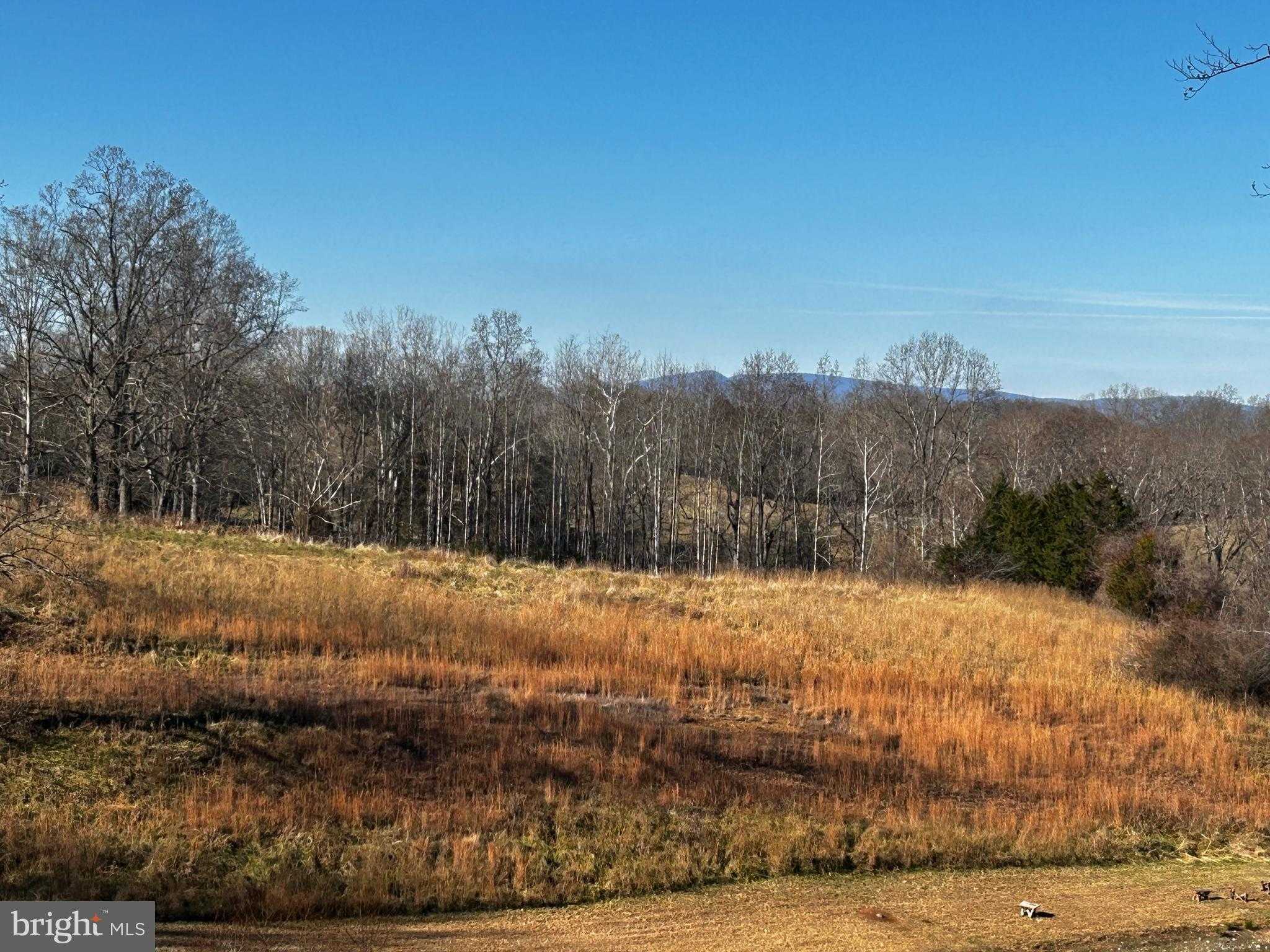 436 Hinsons Ford Ln photo 16