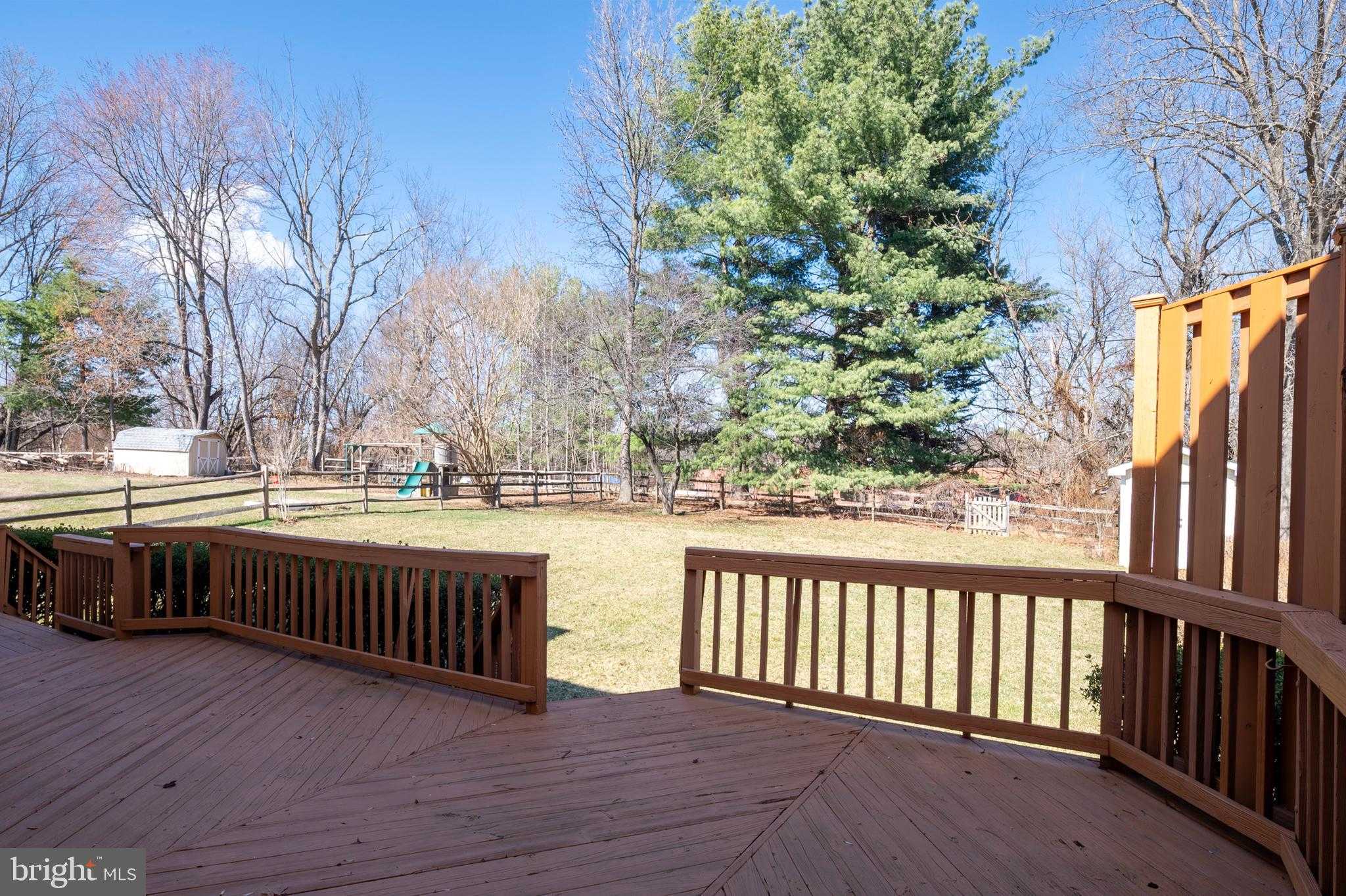 8416 Braddock Way photo 36