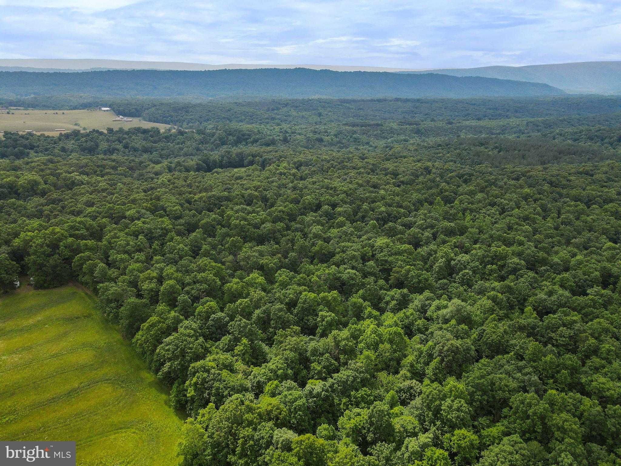 Washington St photo 12