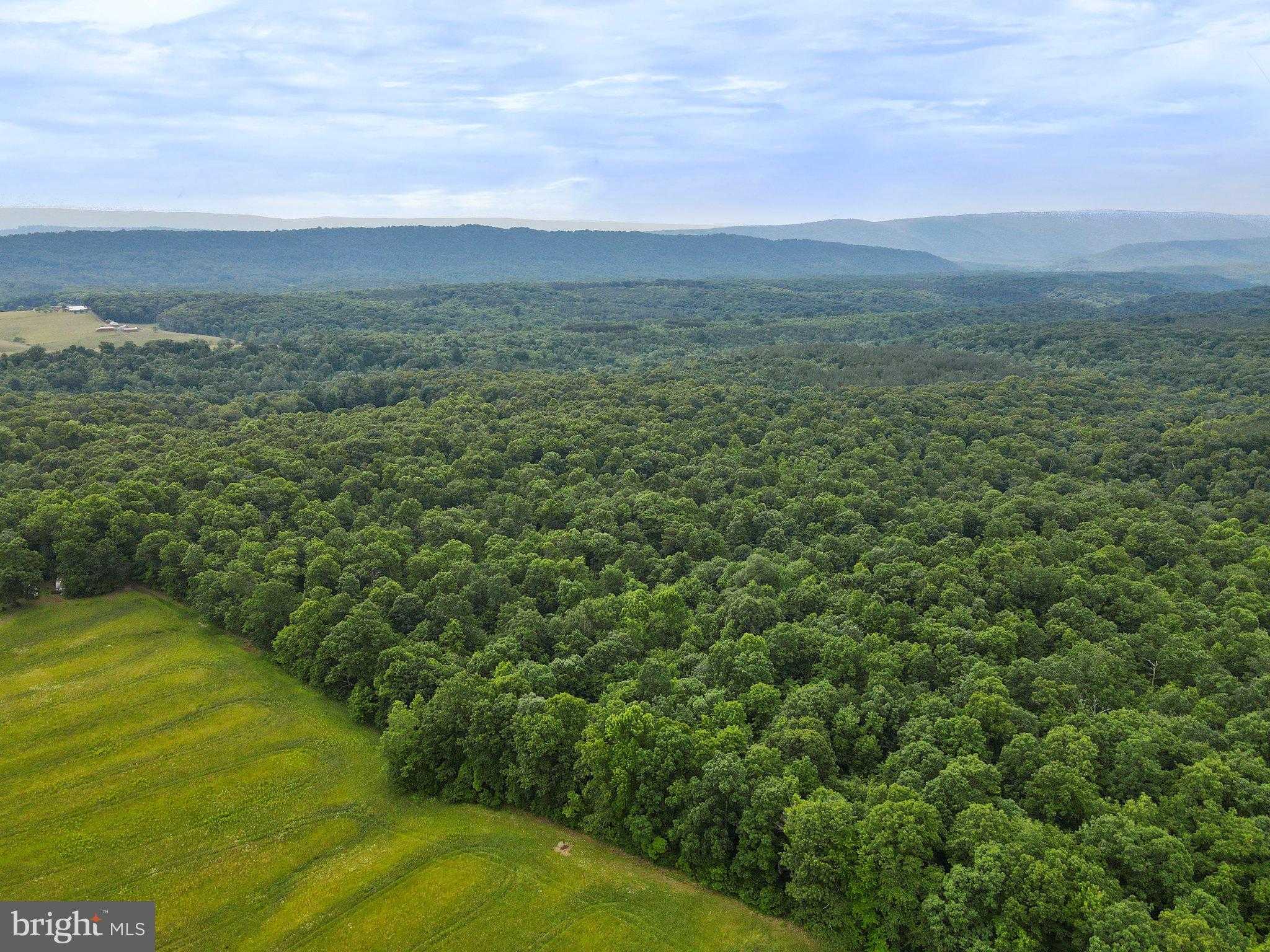 Washington St photo 9