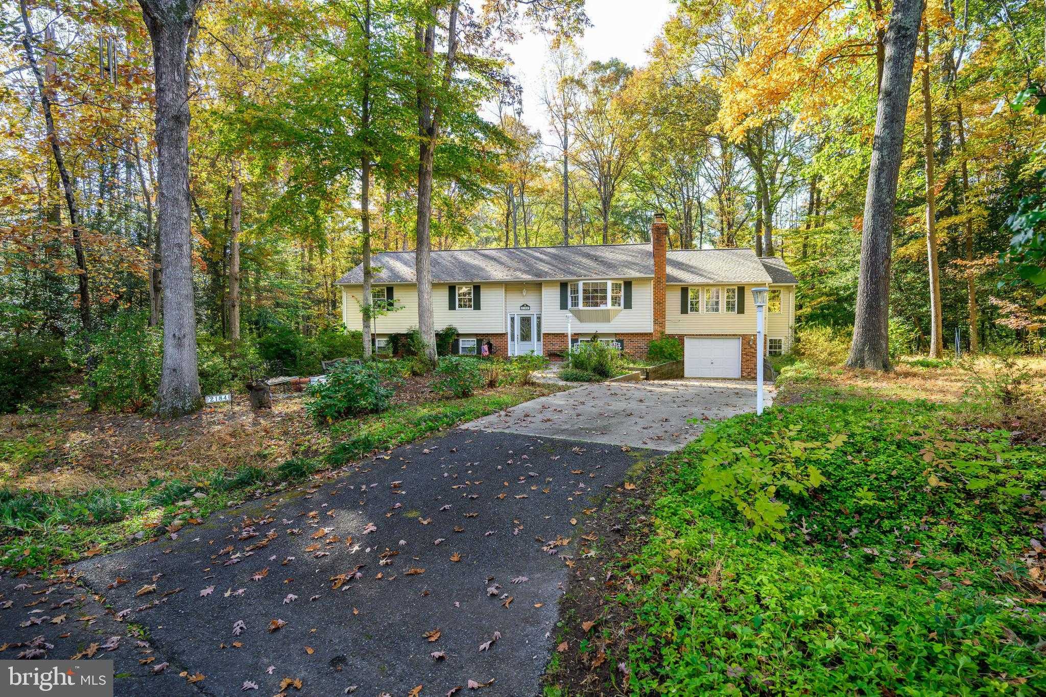 2184 Branchwood CT photo 7