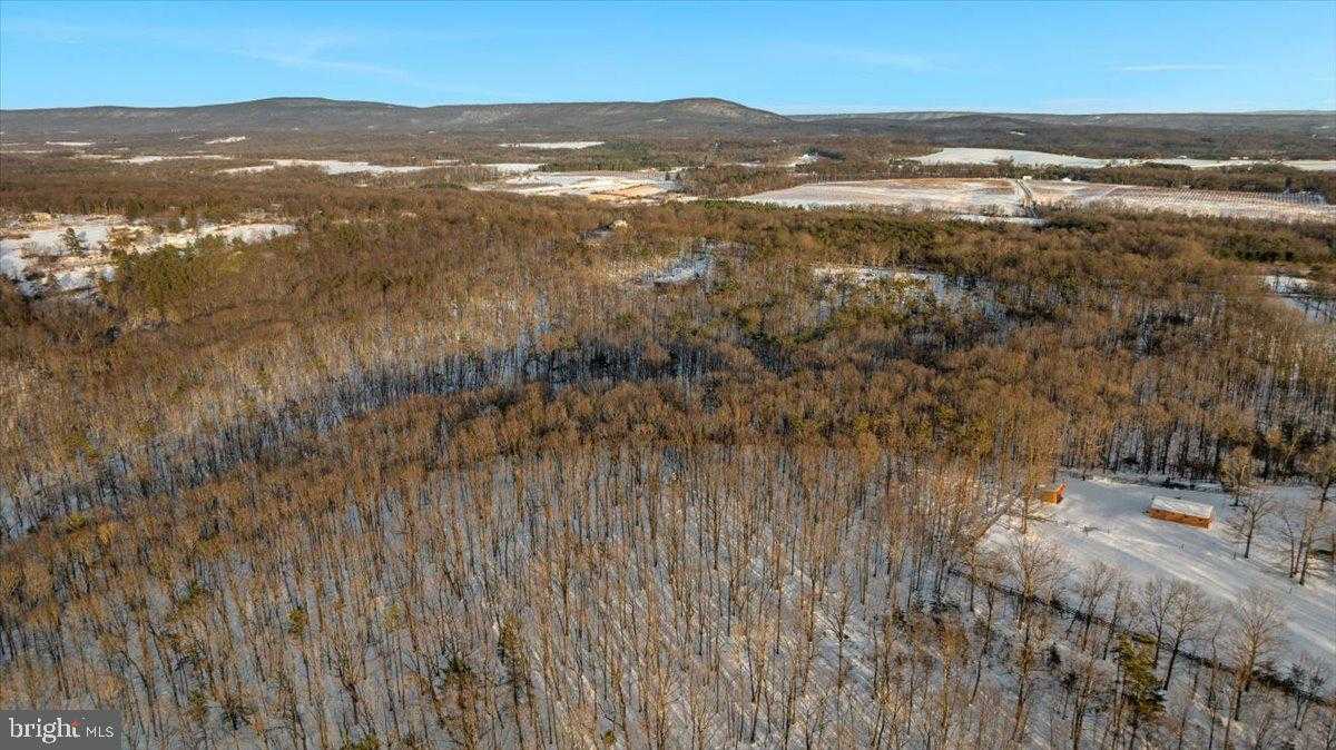 1501 S Timber Ridge Rd photo 54