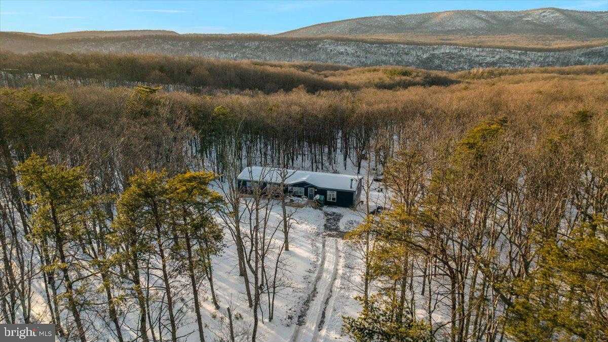 1501 S Timber Ridge Rd photo 64