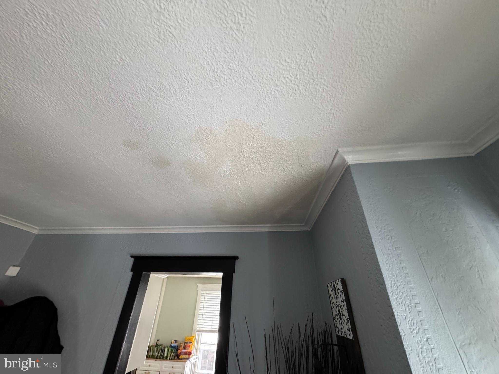 405 Carsonia Ave photo 8