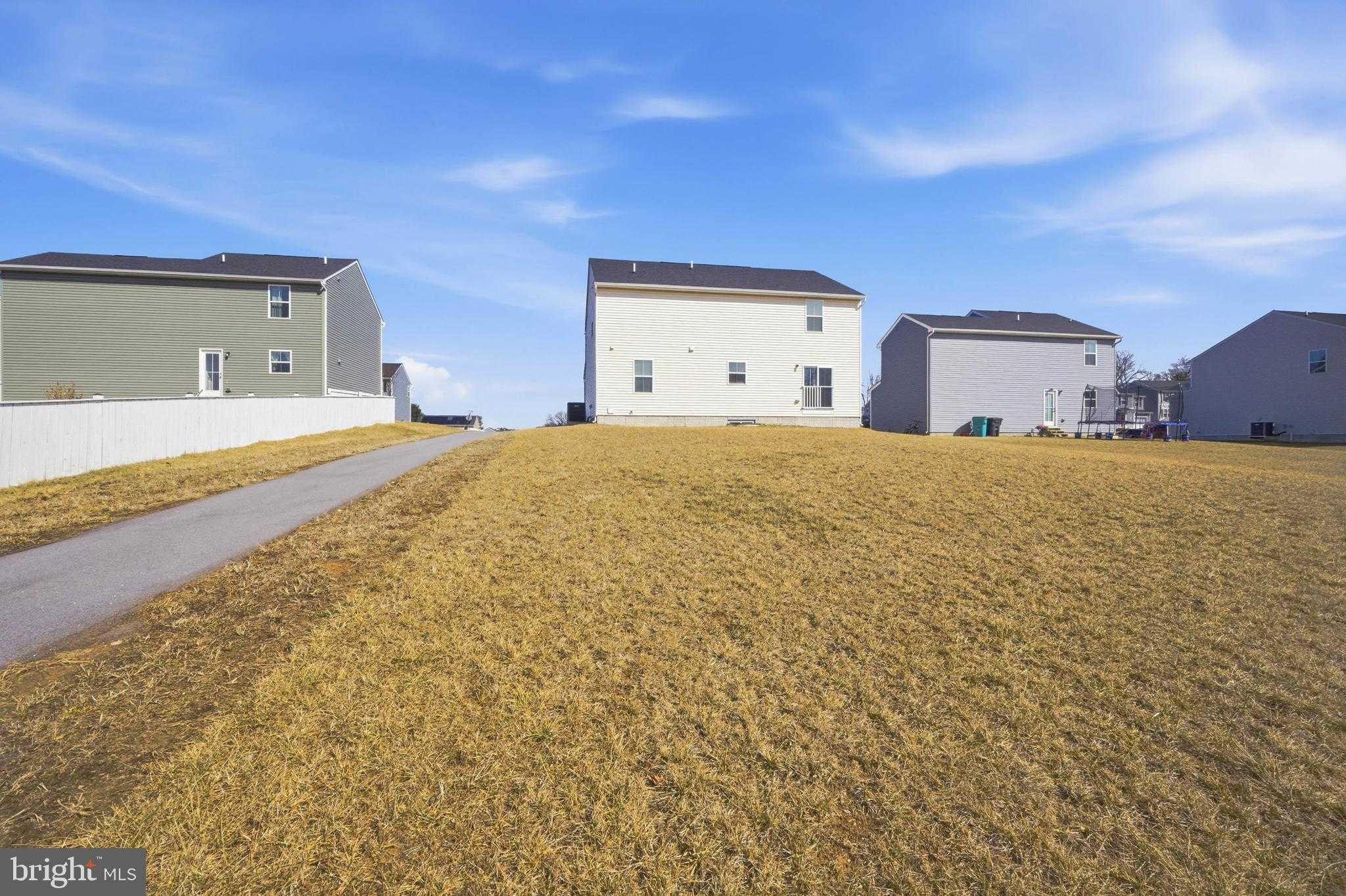 103 Charlotte St photo 24