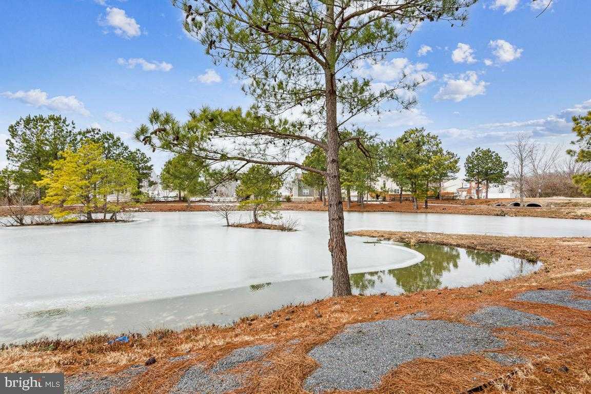 303 Terrapin Cir photo 21