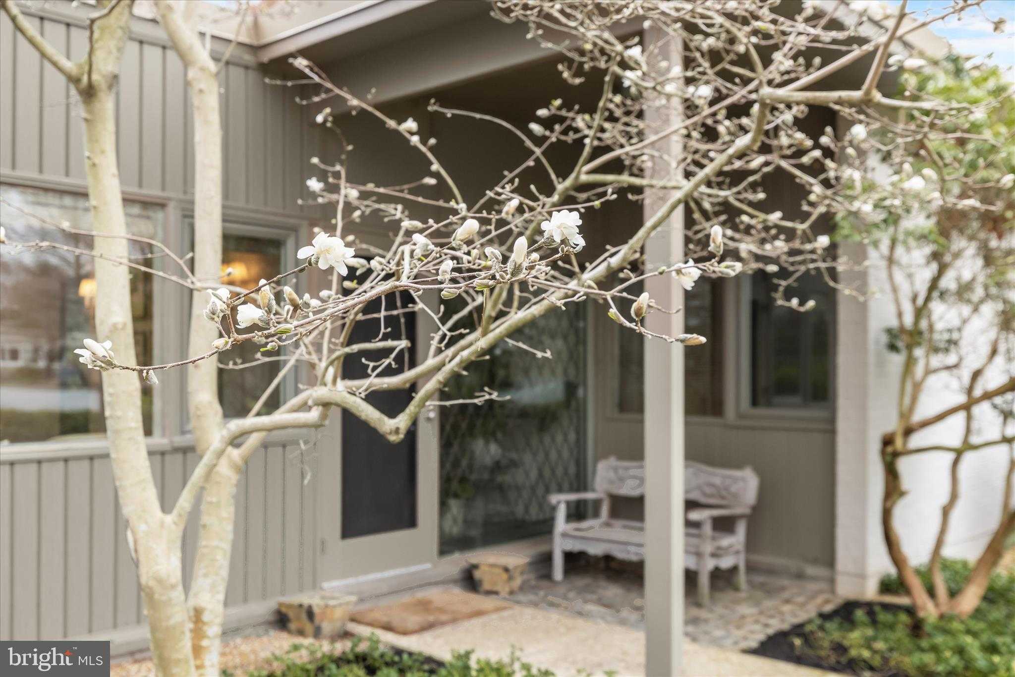 3603 Woodvalley Dr photo 4