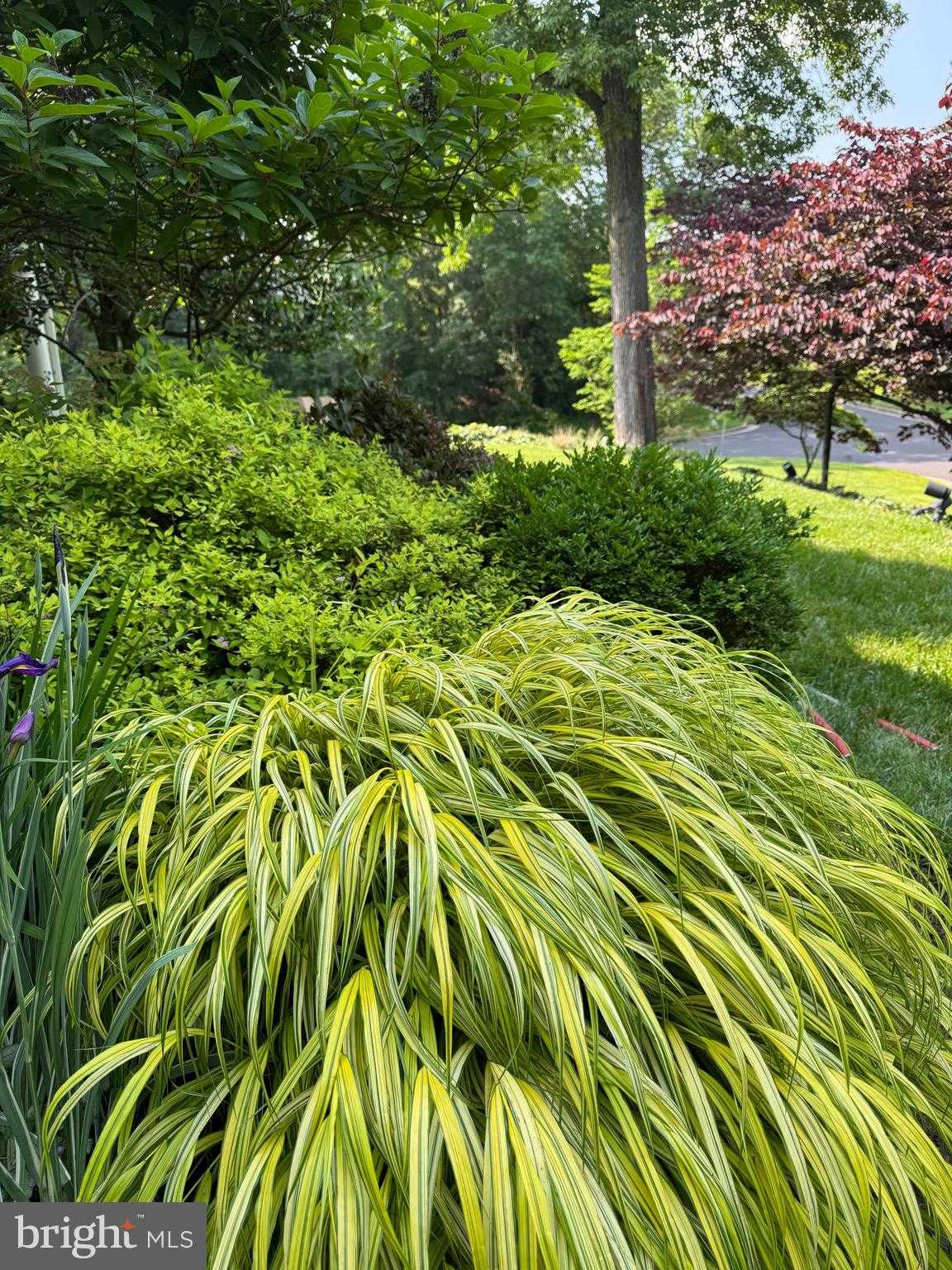 8 Mill Creek Rd photo 52