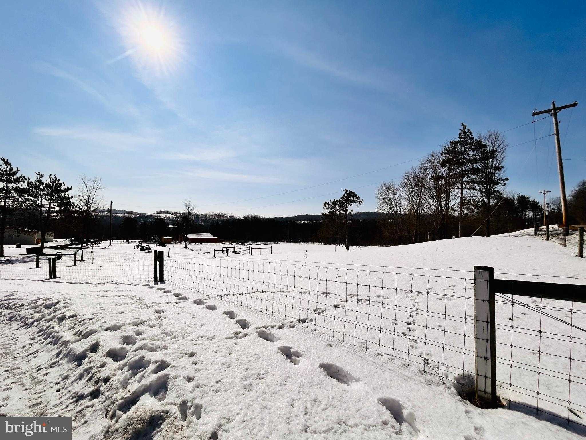 1800 Ross Rd photo 15