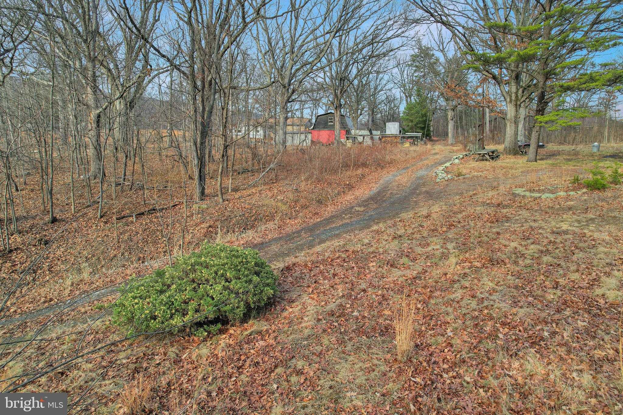 24706 McMullen Hwy SW photo 12