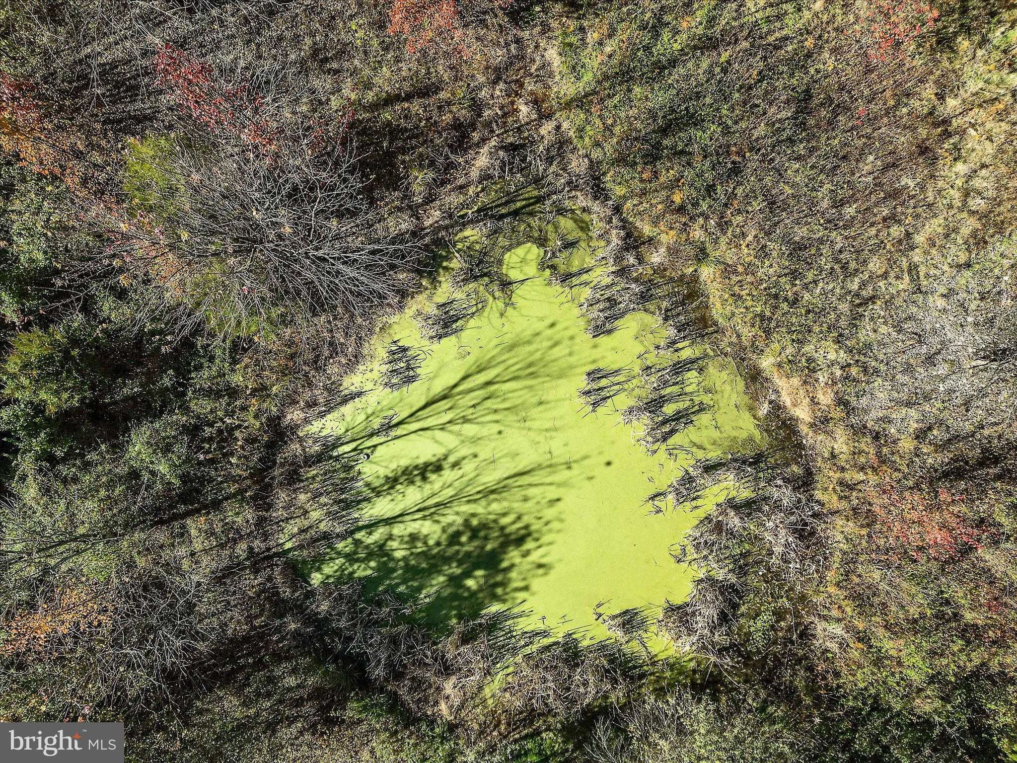 751 Old Charles Town Rd photo 54