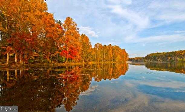 7503 Brenish Dr photo 13